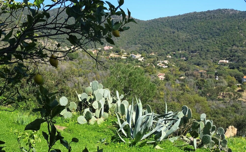 Фото 239591915500