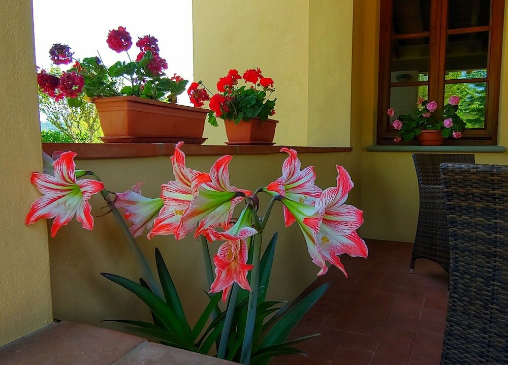 Фото Torrebianca Tuscany