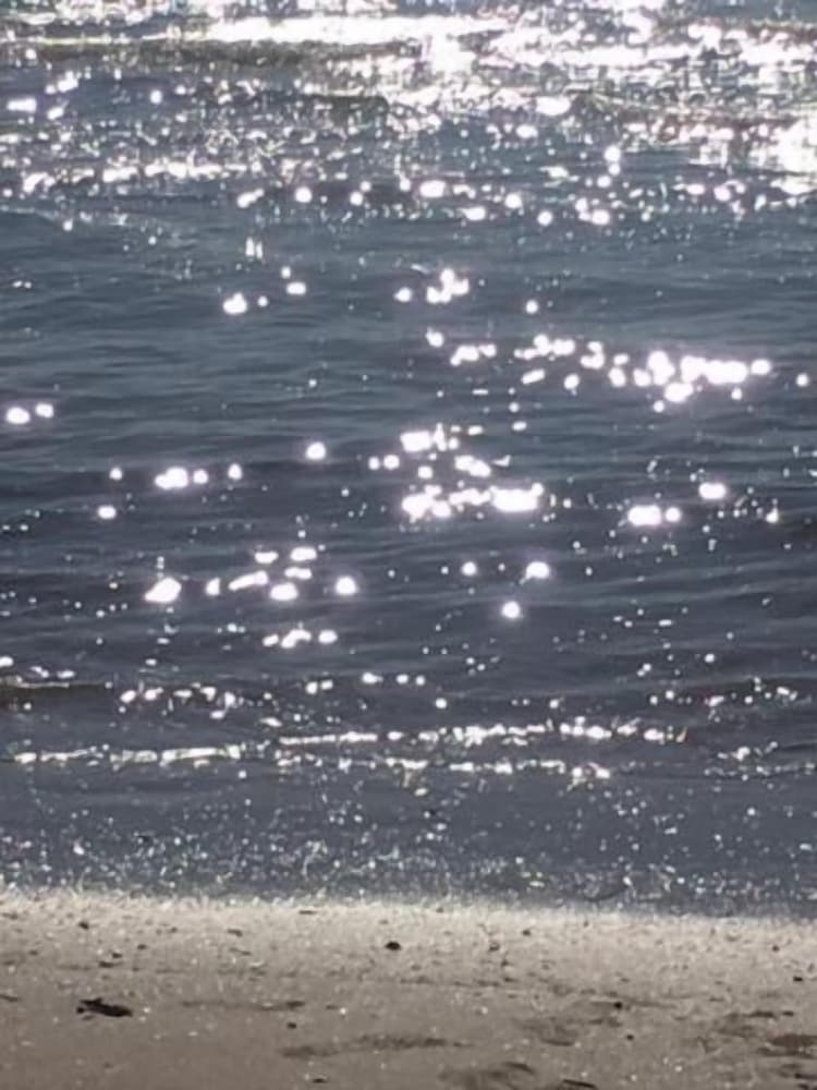 Фото Hotel Speranza