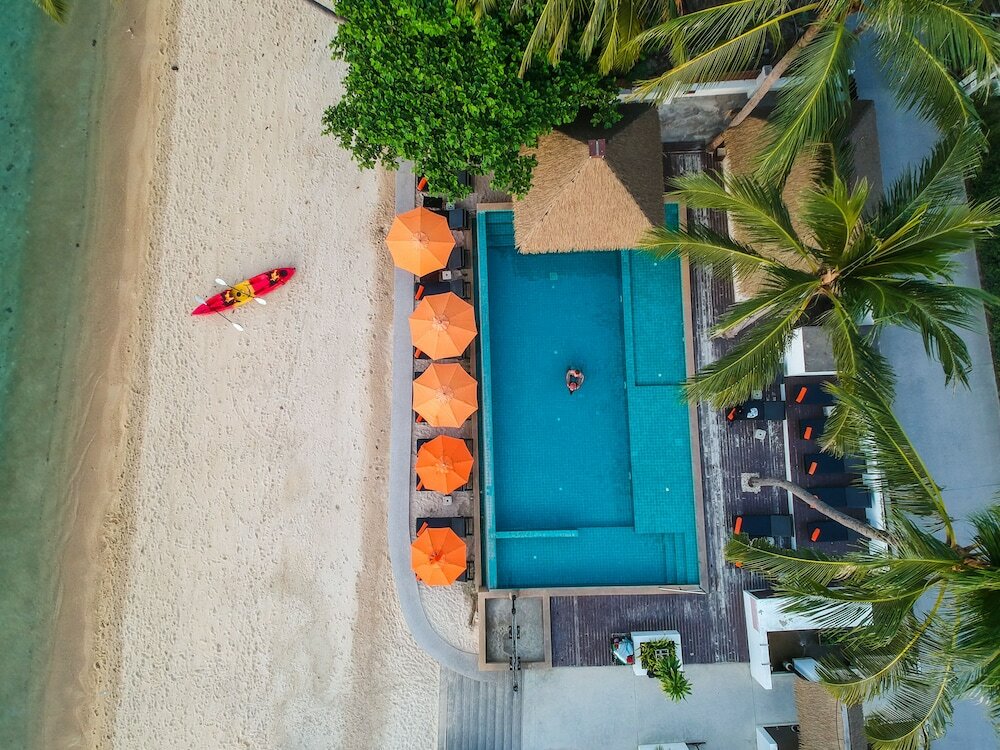 Фото Mimosa Resort & SPA