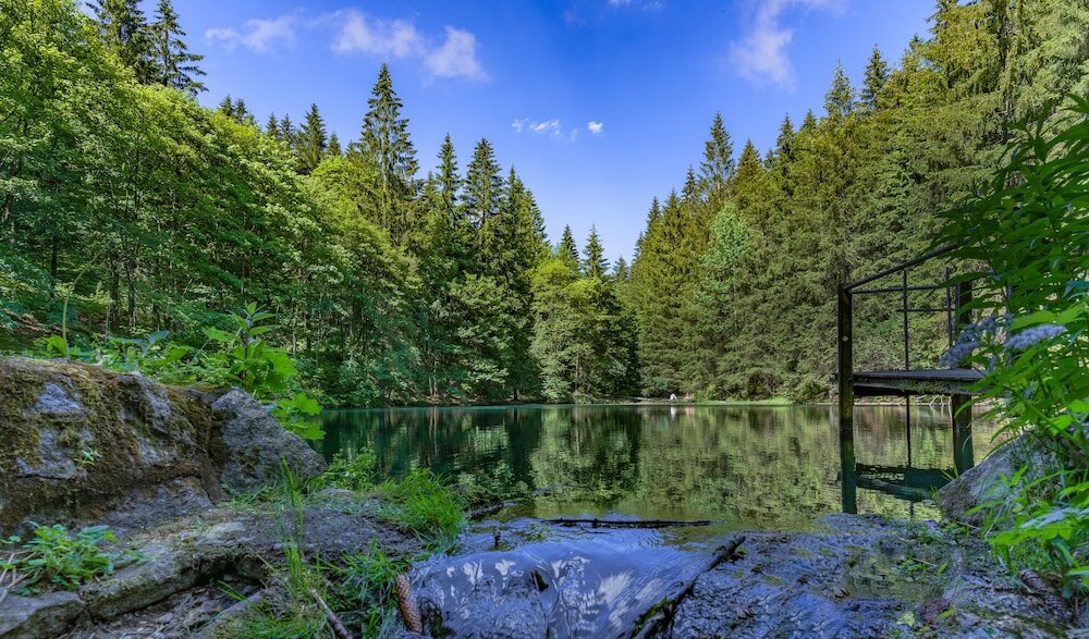 Фото Hotel Thüringenschanze