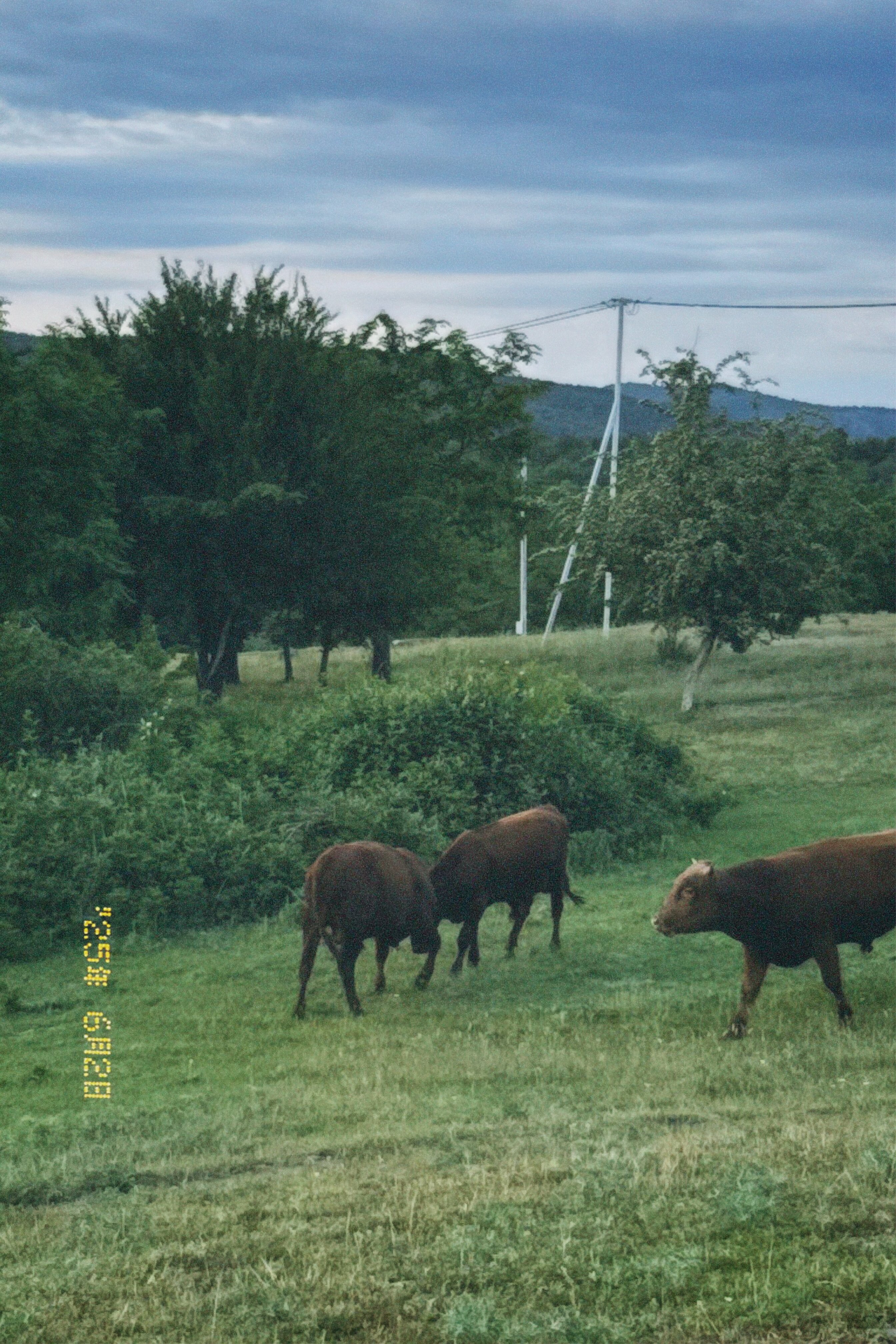 Фото Едем в горы