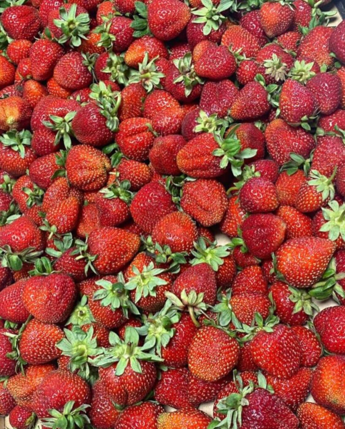 Фото Отдых и точка