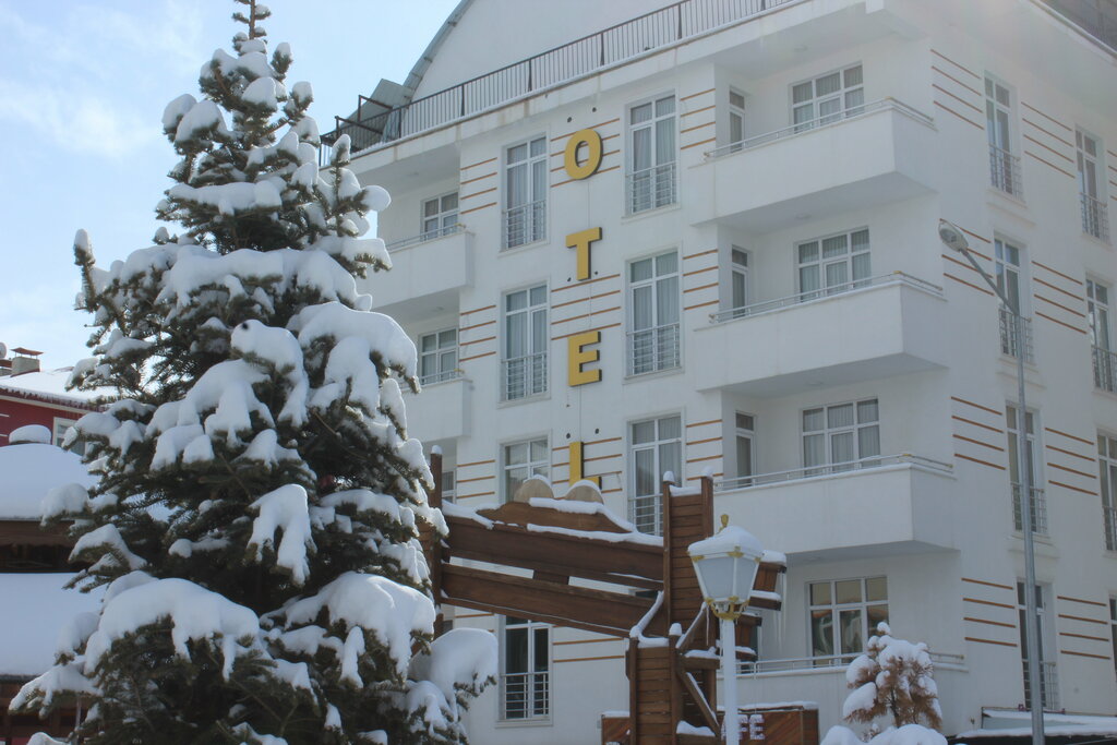 Hotel Borapark Hotel, Aziziye, photo