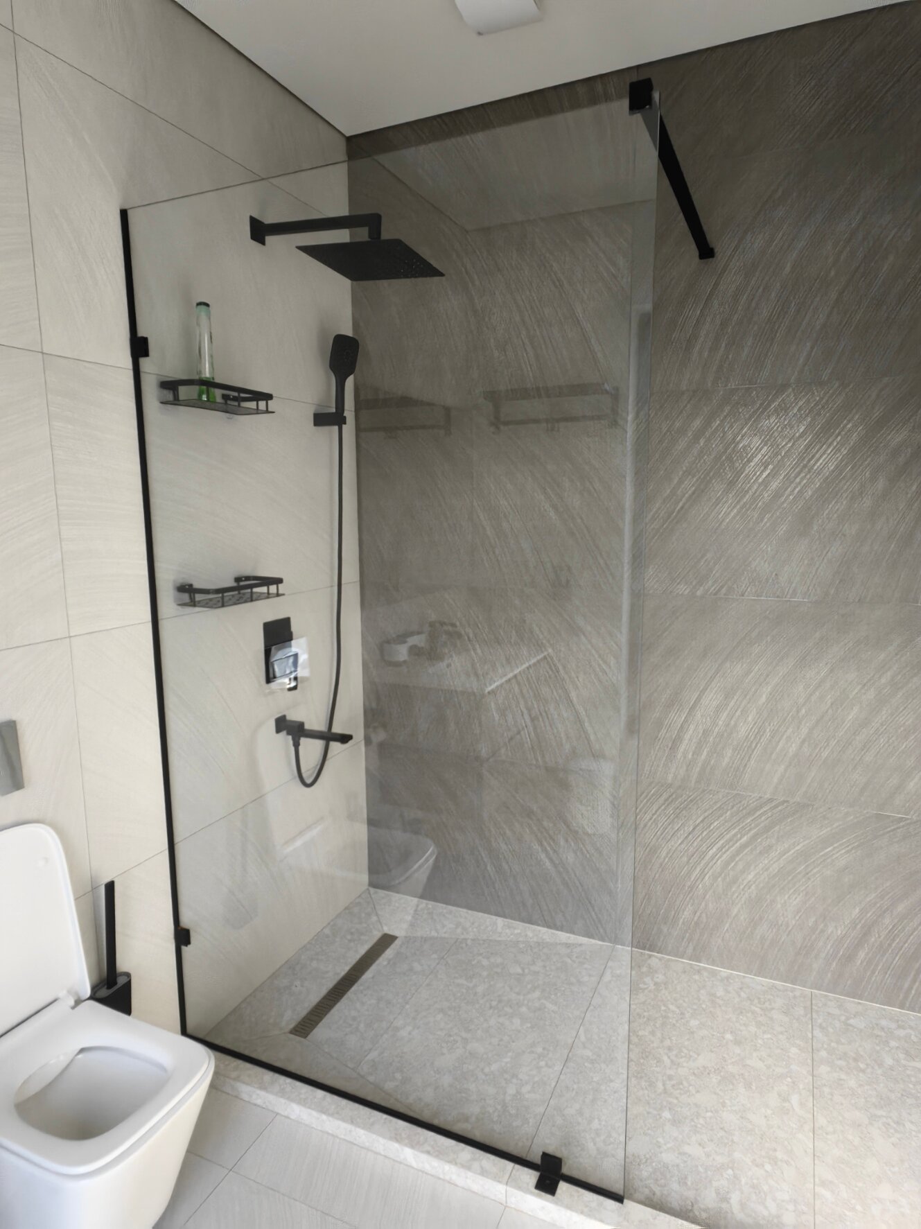 Фото Павлония