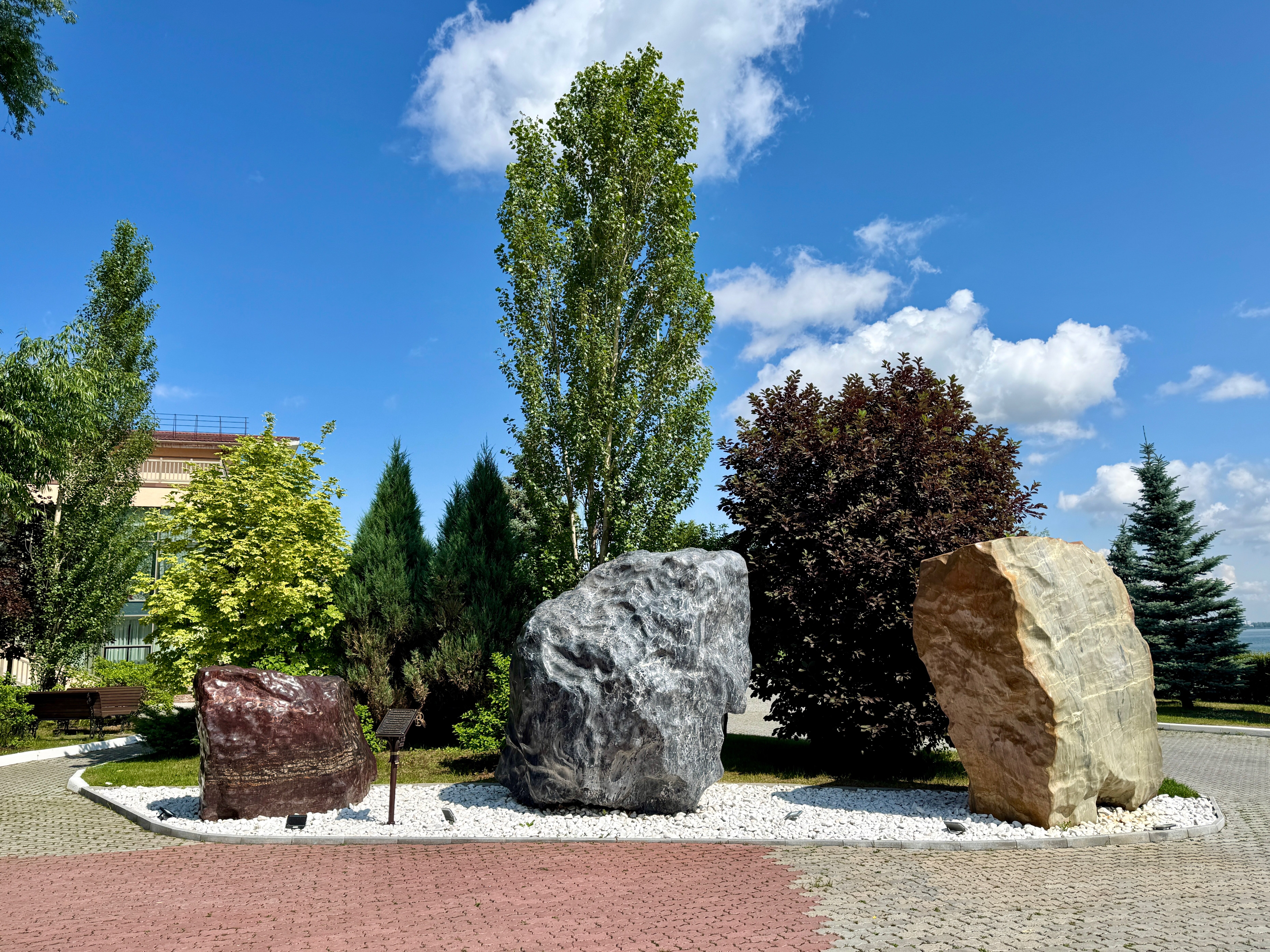 Фото Берёзка