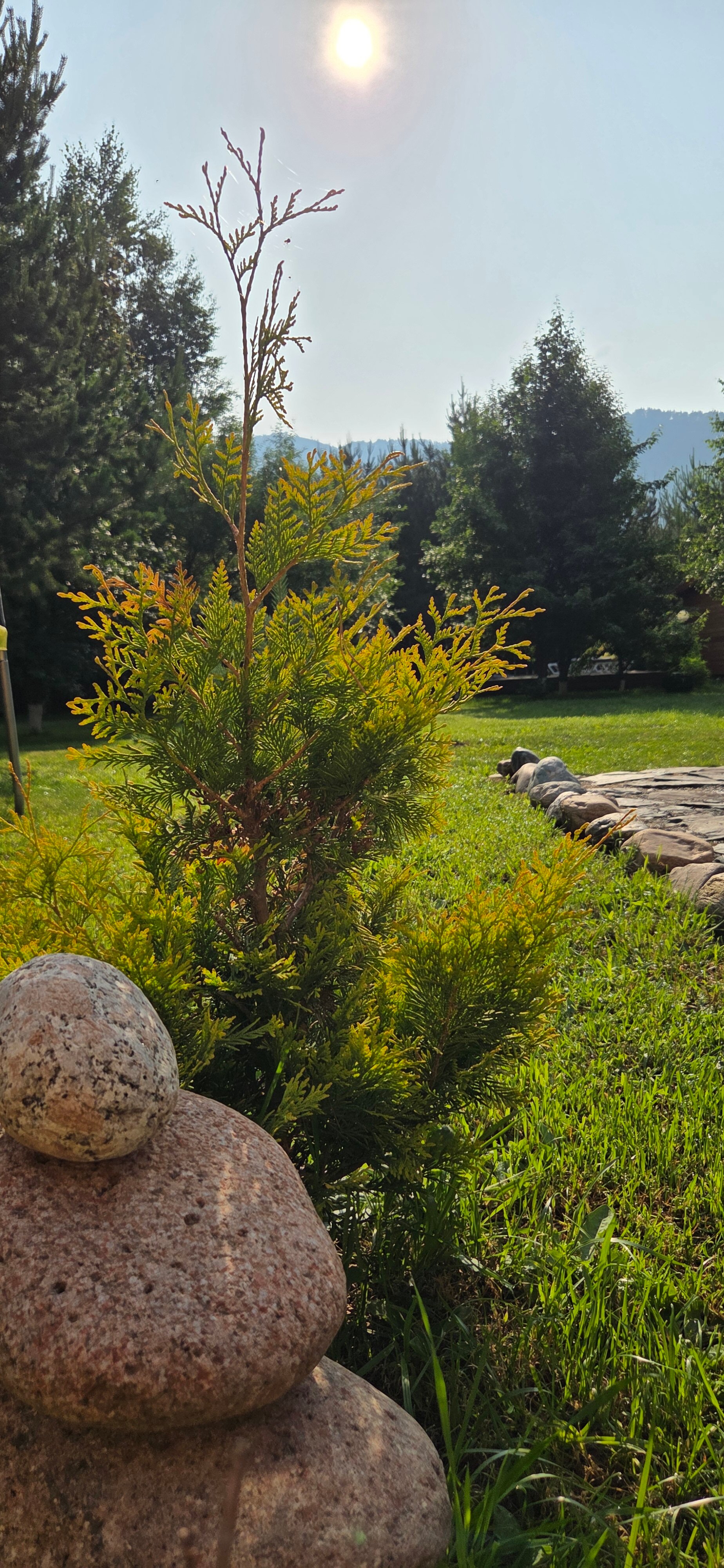 Фото Усадьба Горница