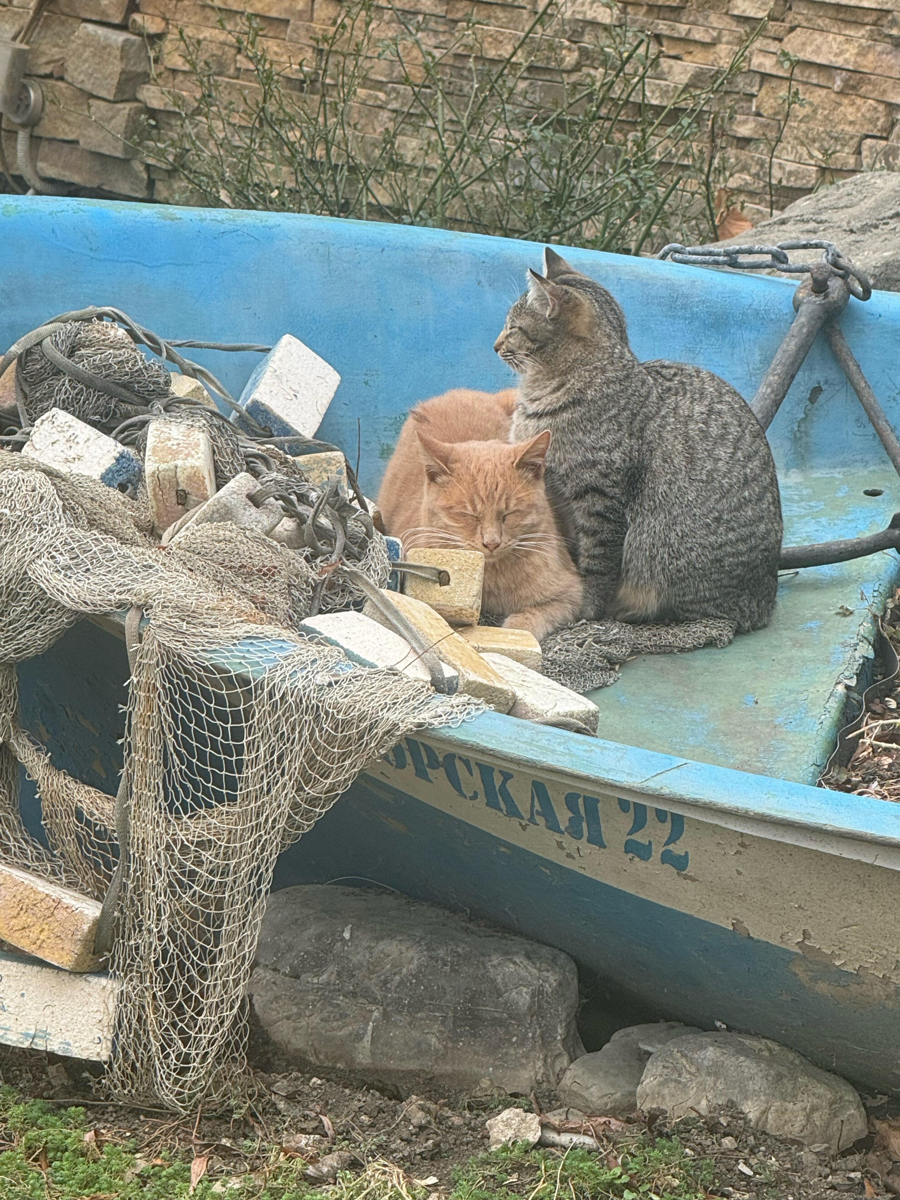 Фото Тортуга