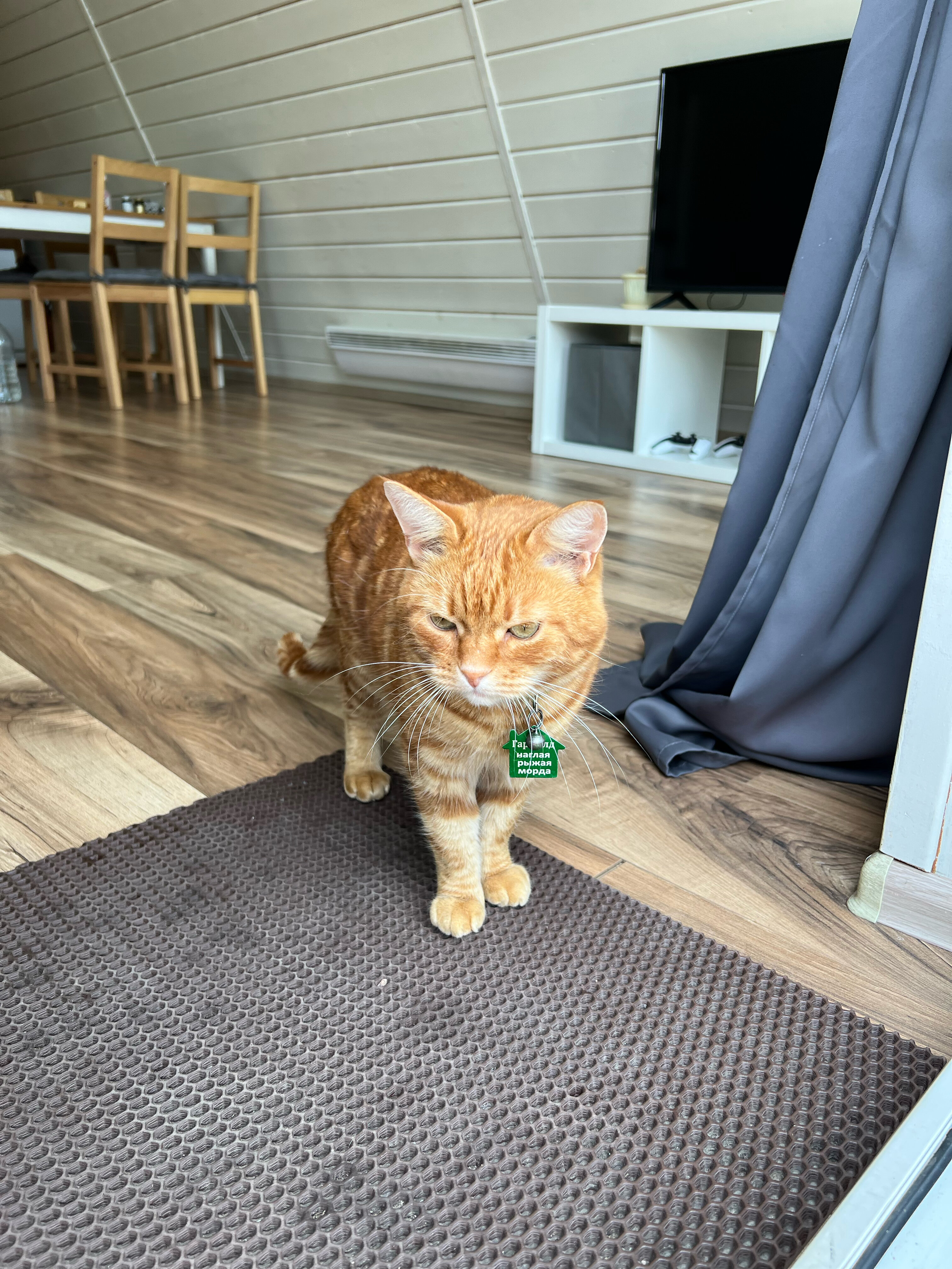 Фото Место Силы