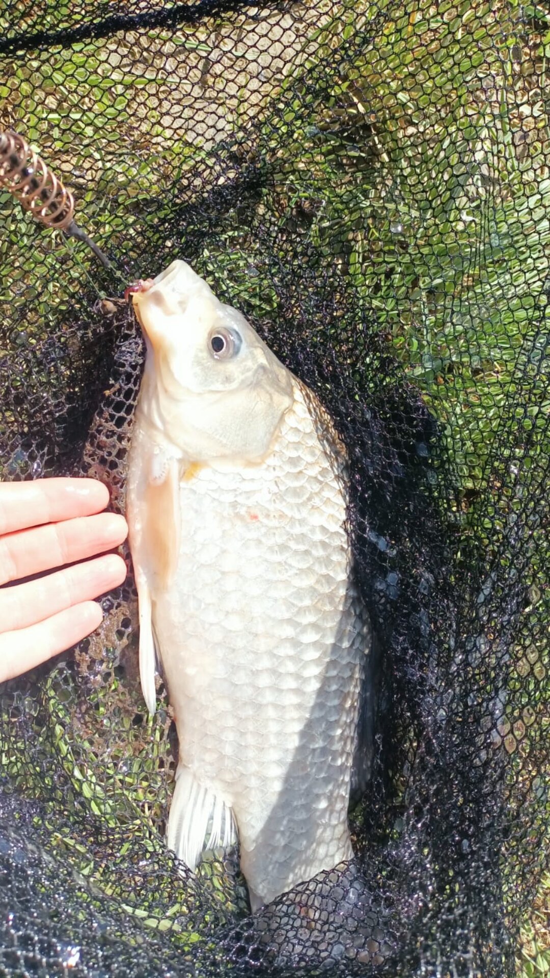 Фото Клевое место