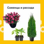 Lemana Pro (kvartal Zaton, ulitsa Naberezhnaya Irkuta, 1/2), tienda de construcción