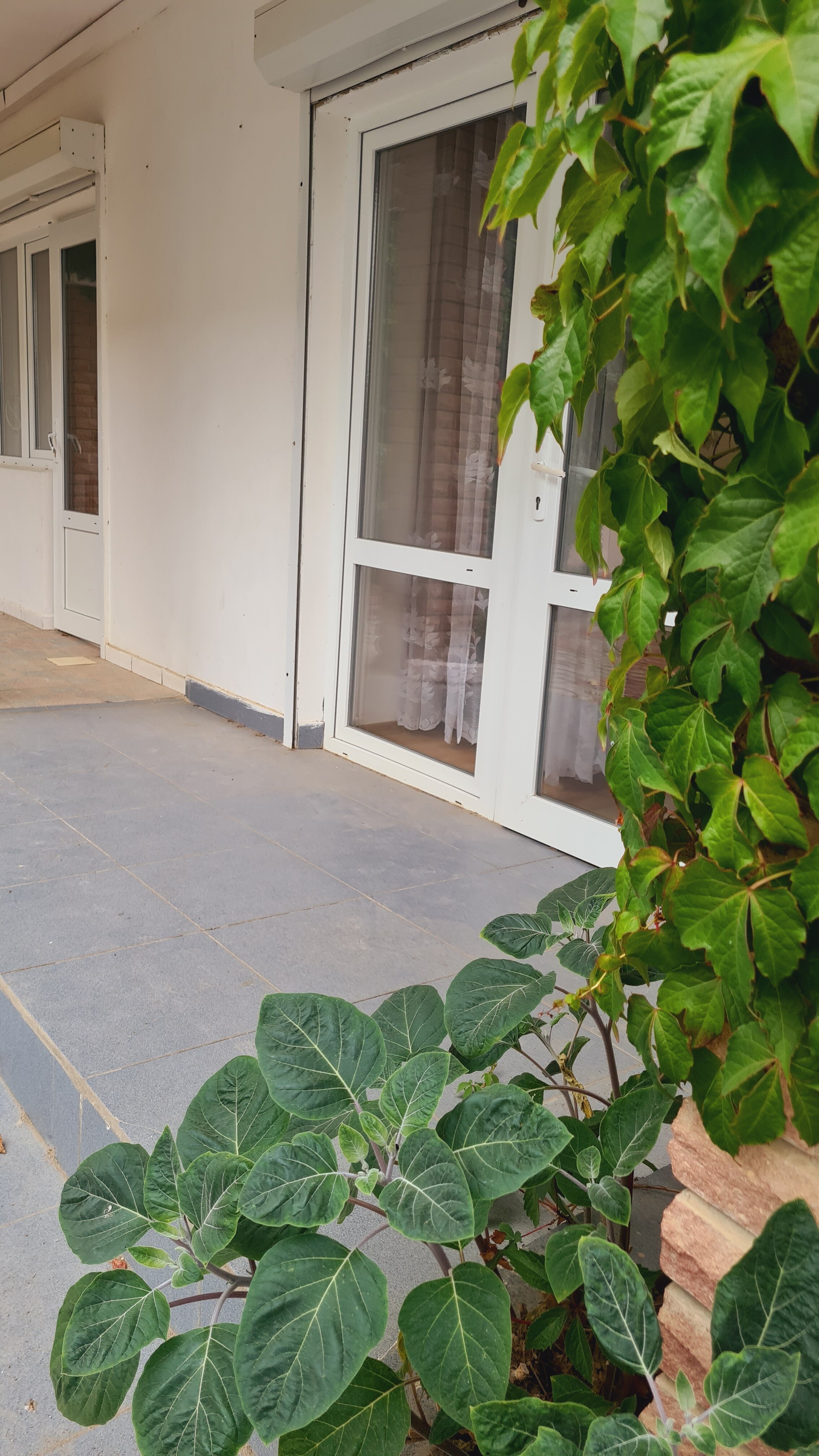 Фото Первая Линия