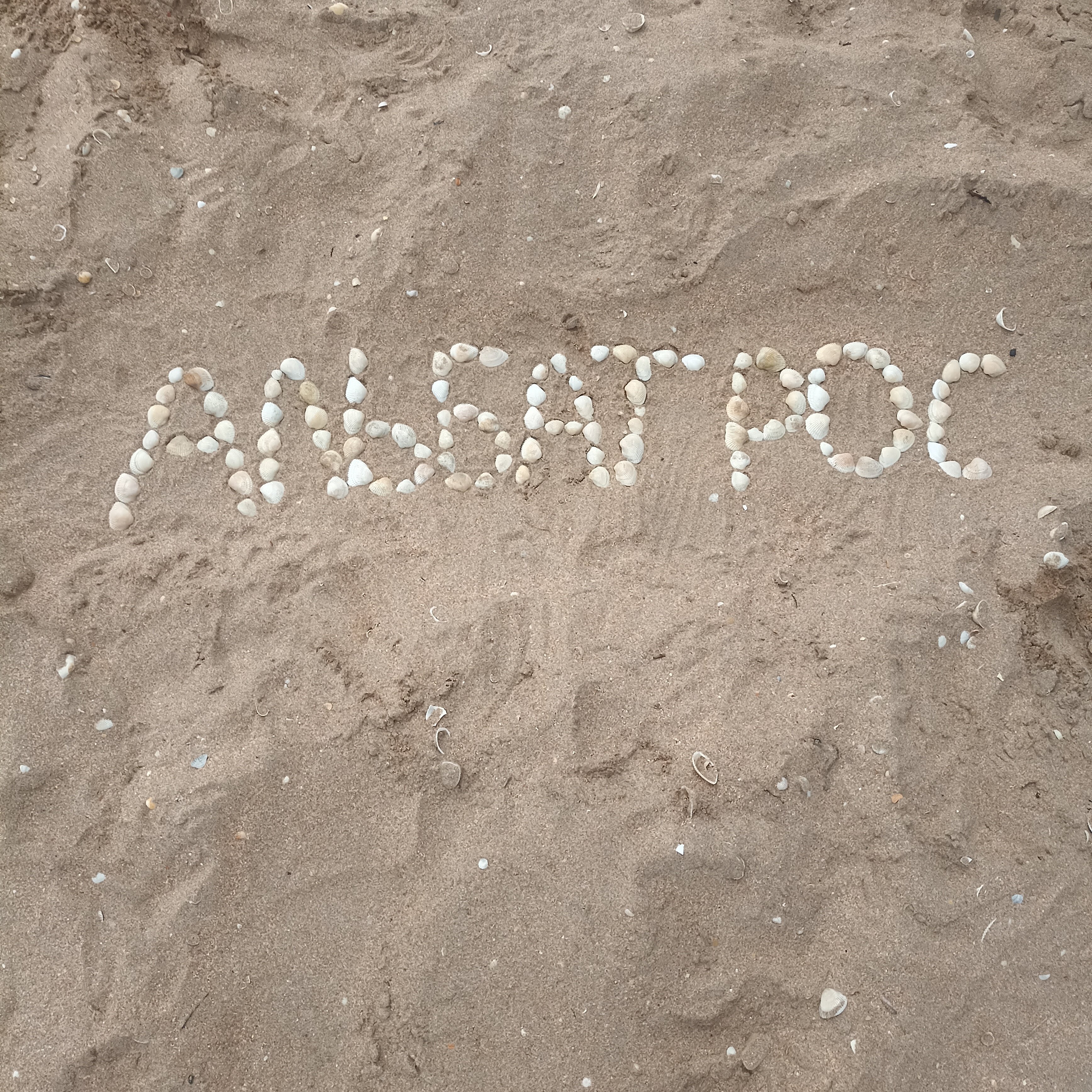 Фото Альбатрос