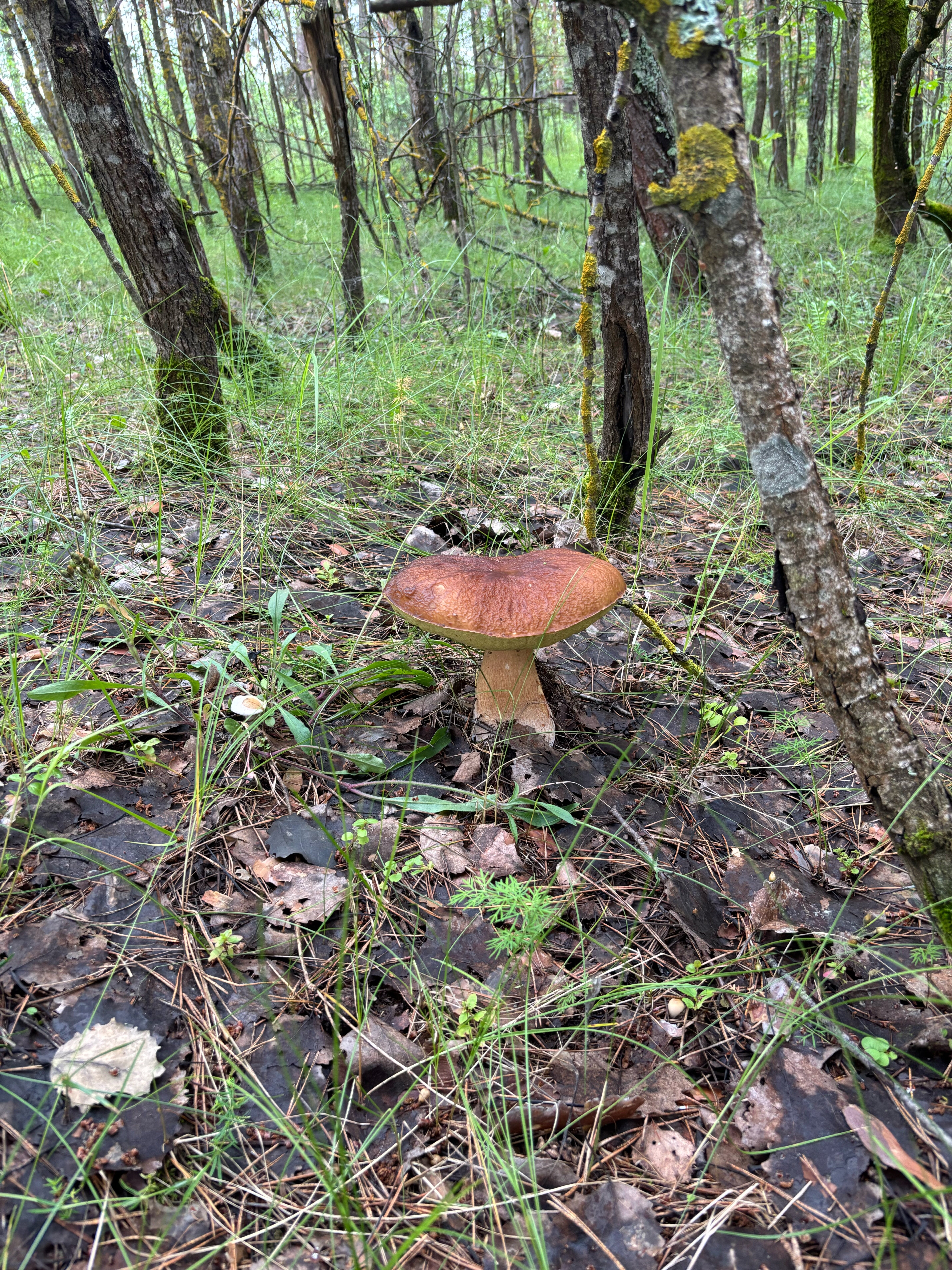 Фото Эко-Парк Шмели