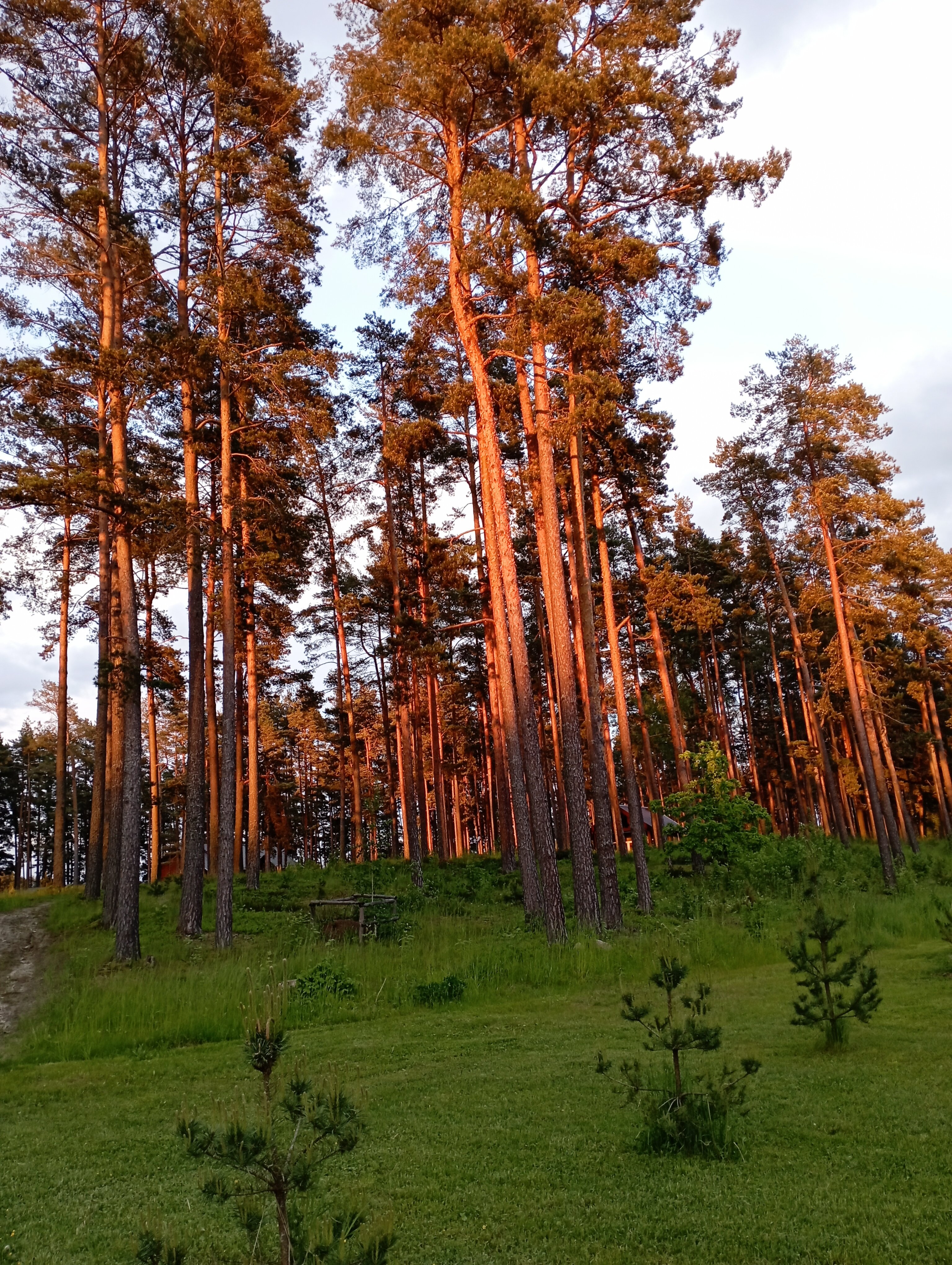 Фото Хуторок