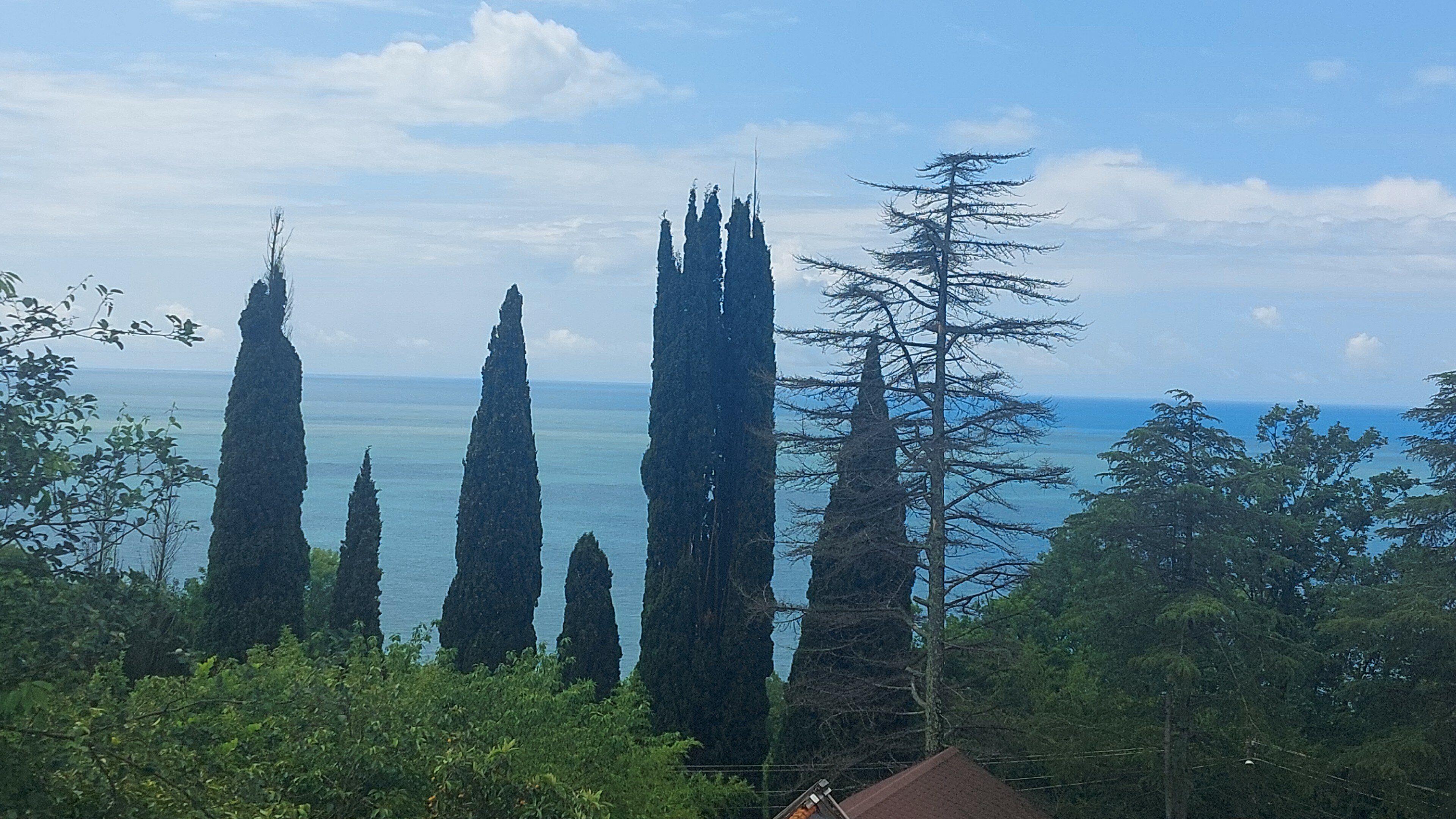 Фото Горизонт