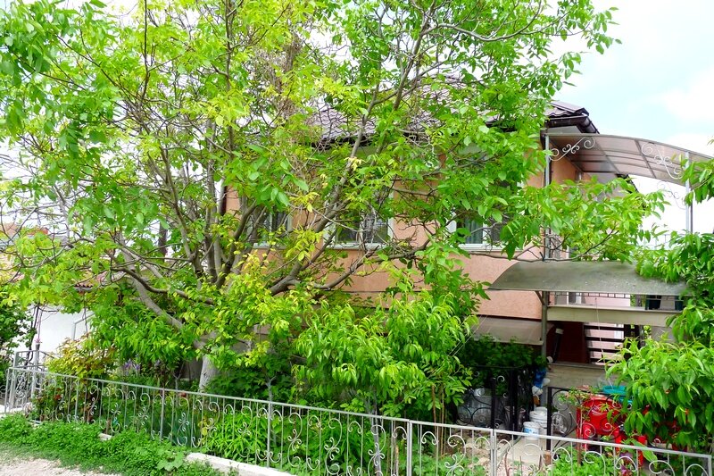 Фото Марине