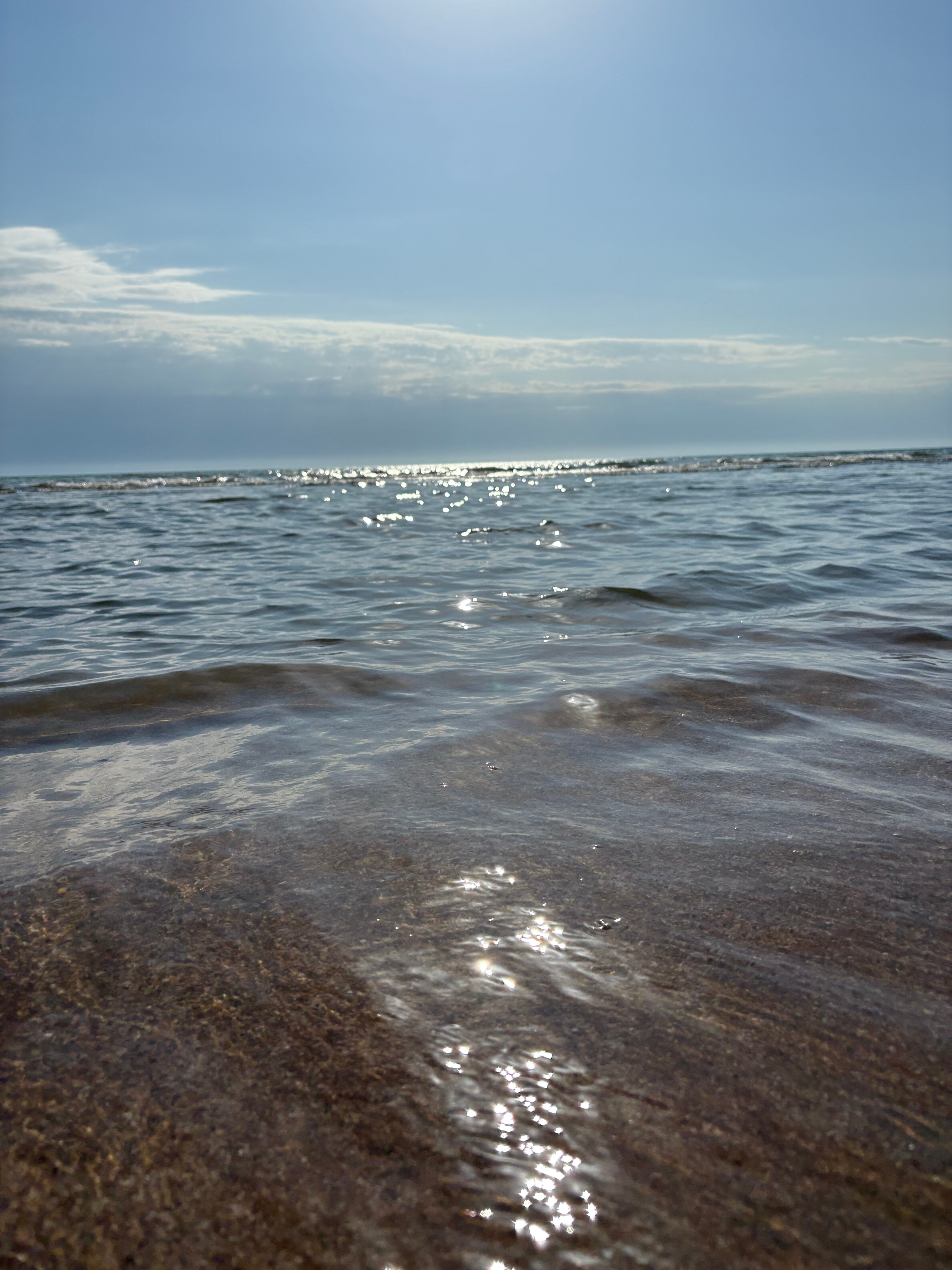 Фото Сафари