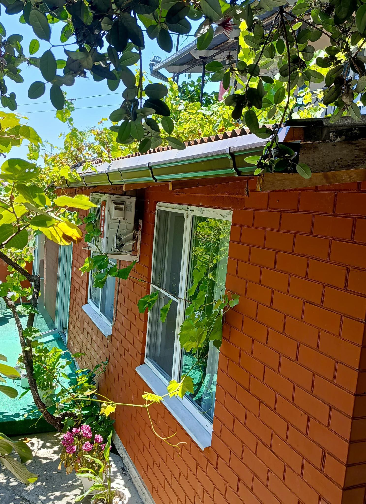 Фото Под пальмой