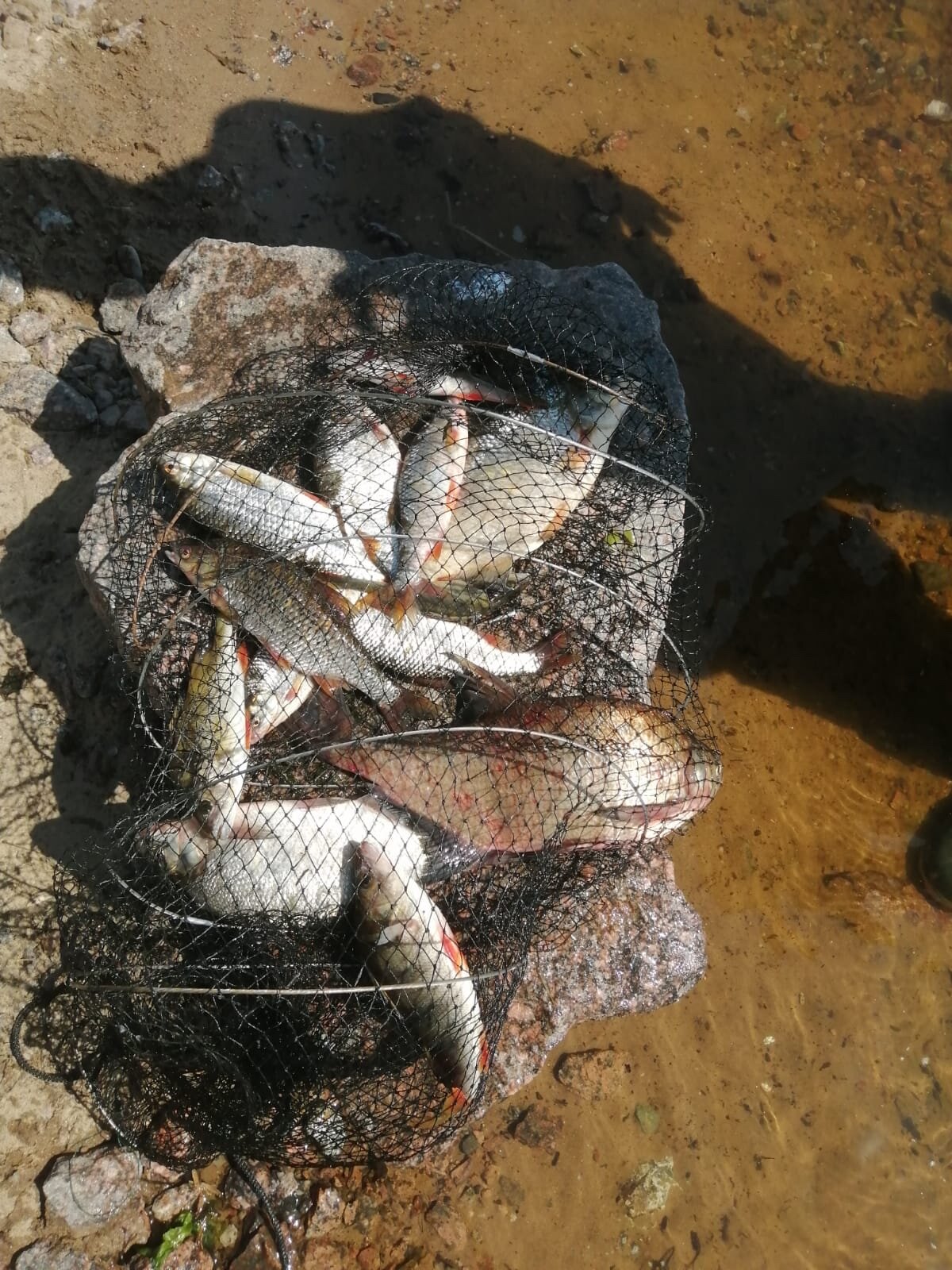 Фото Серебряный ключ