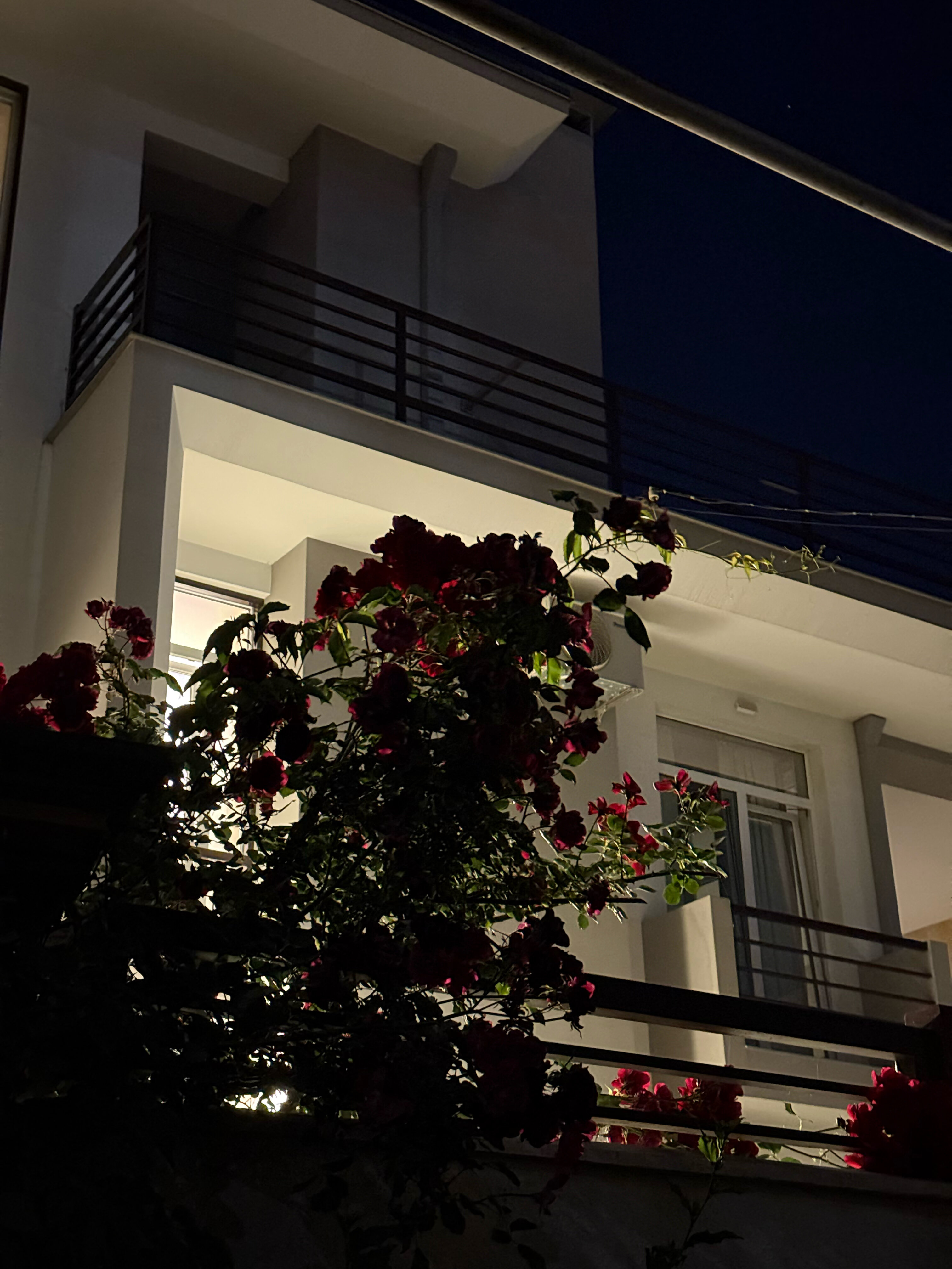 Фото Veronika Home Tbilisi