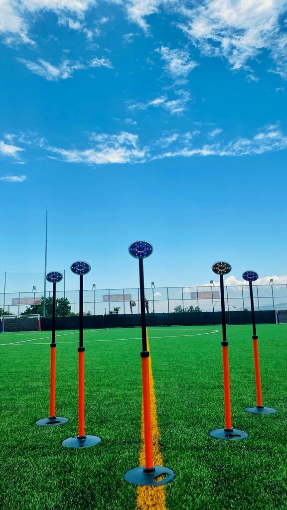 Management company Performanz R&d and Software Services, Izmir, photo