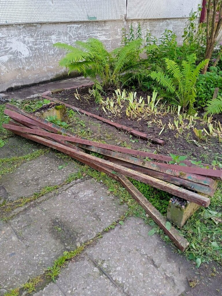 Bench Bench, Pskov, photo