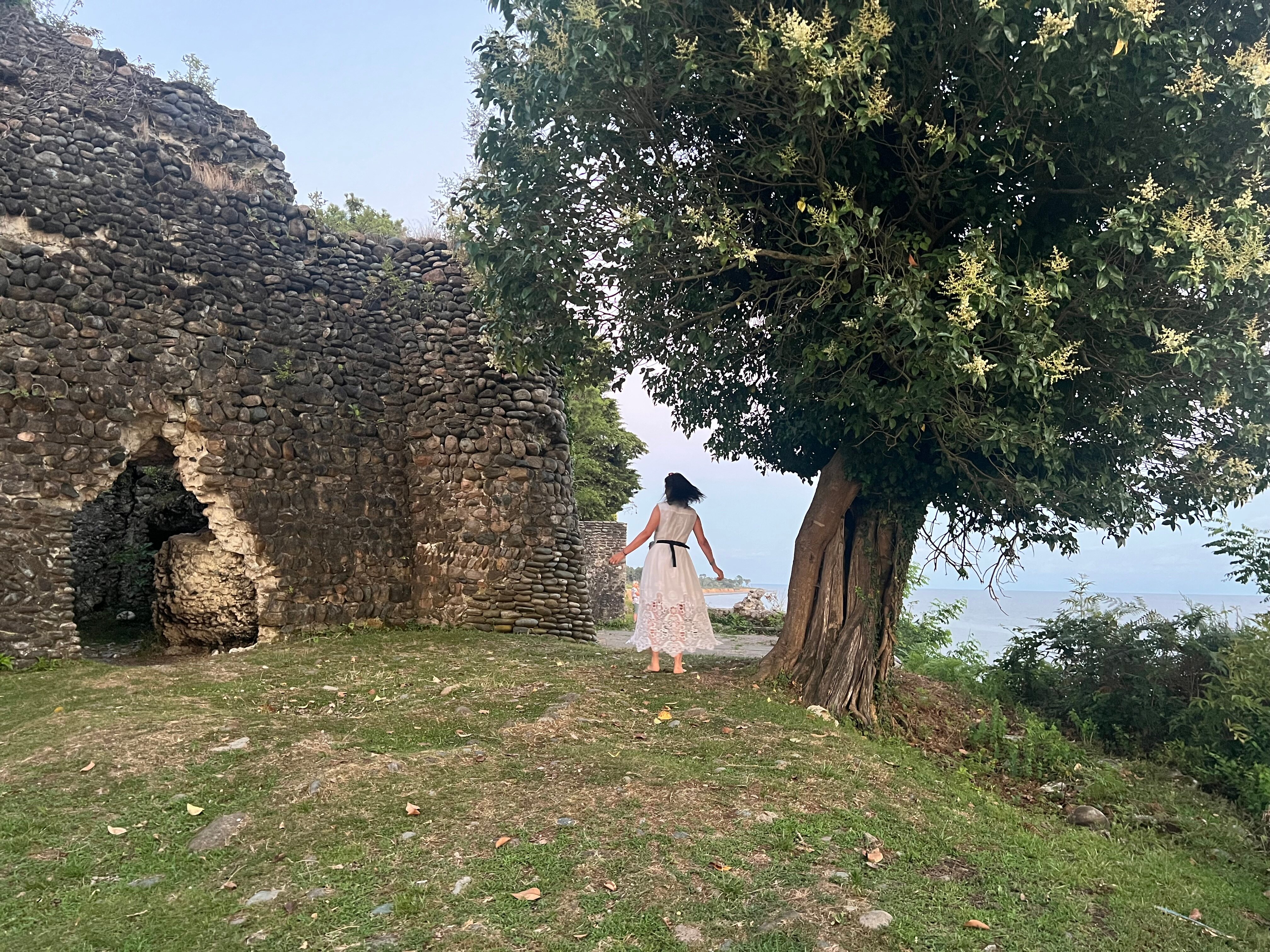 Фото Эвкалиптовая роща