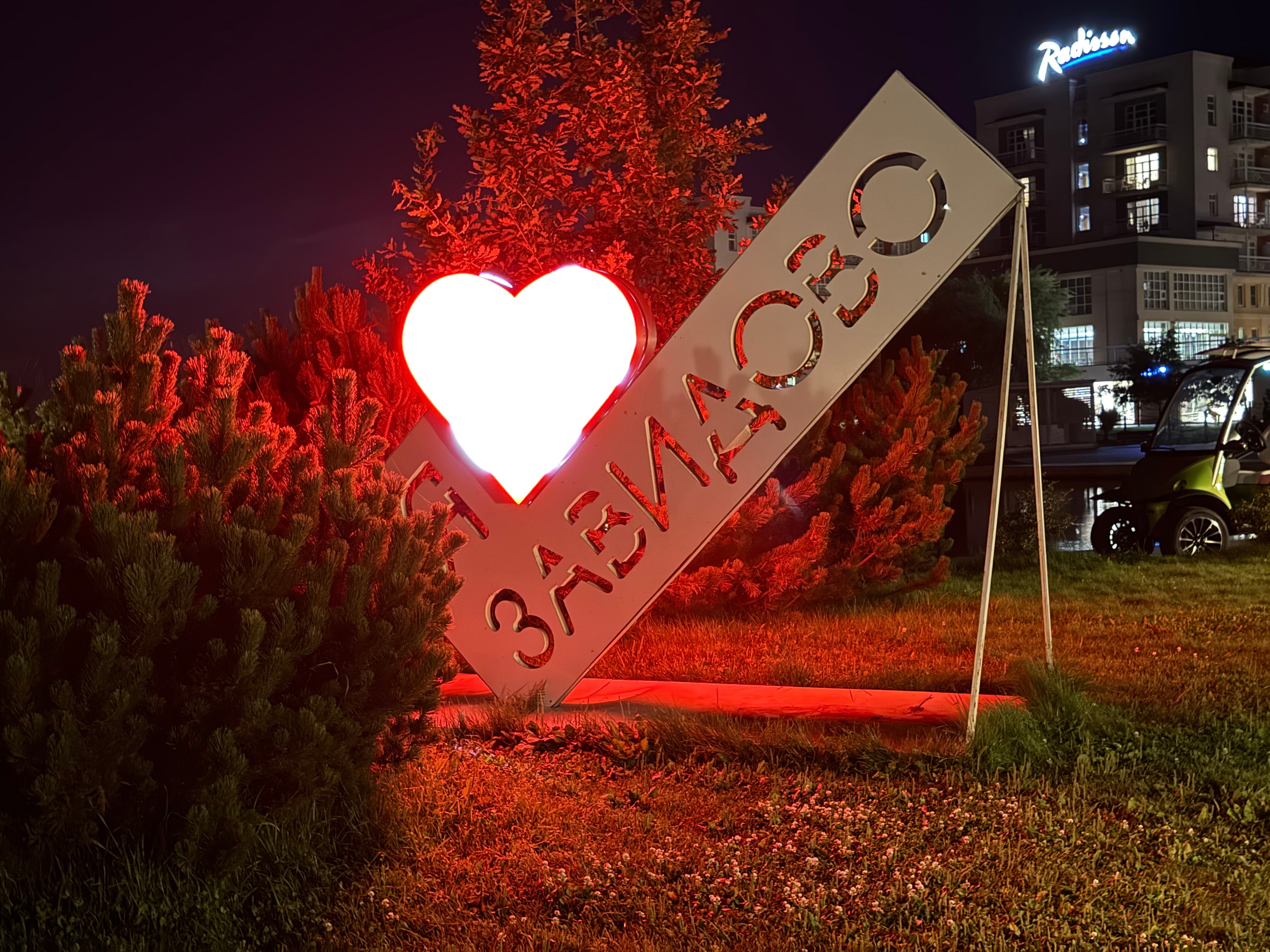 Фото Рябина от Васта