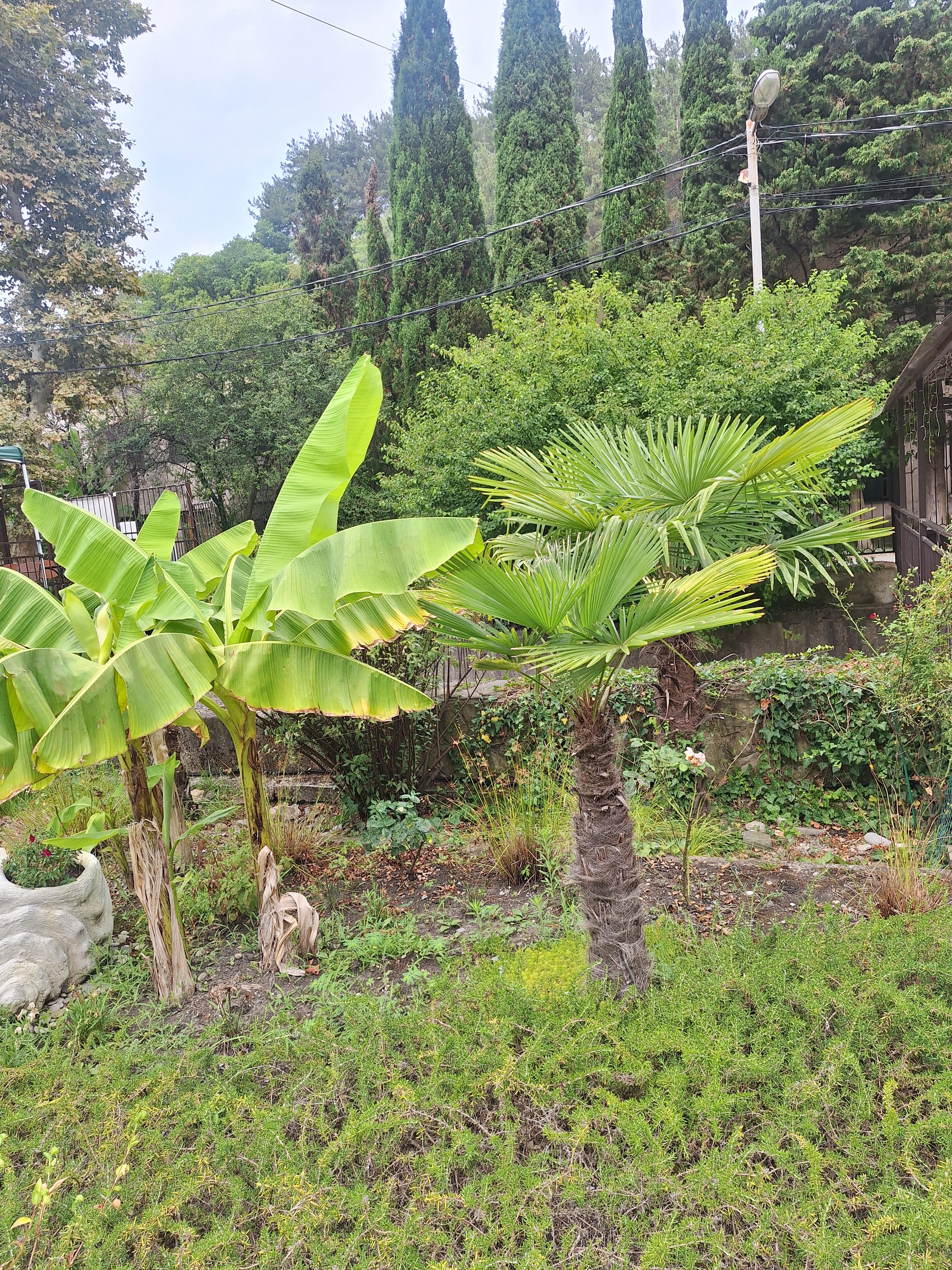 Фото Море и Горы