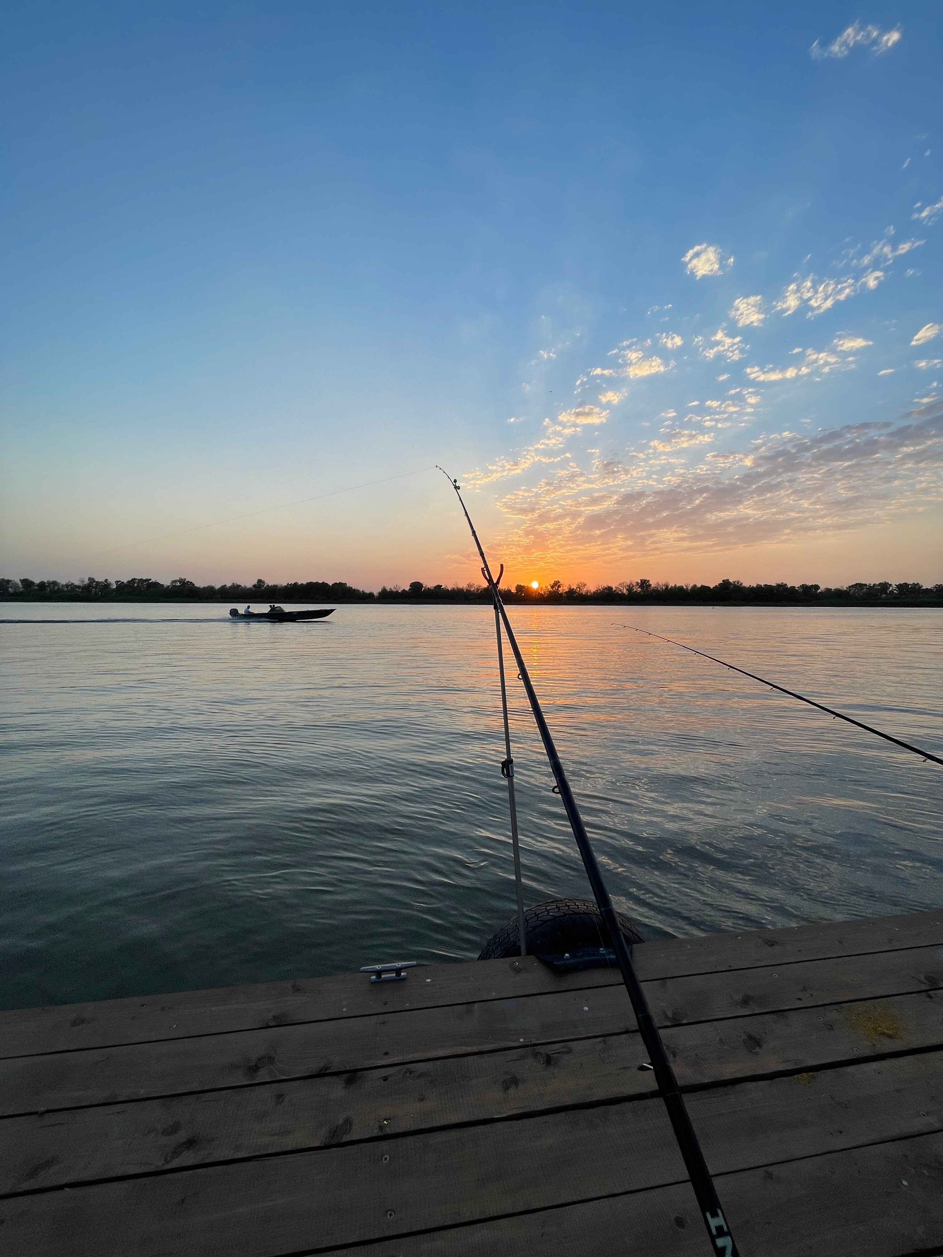 Фото Трофей