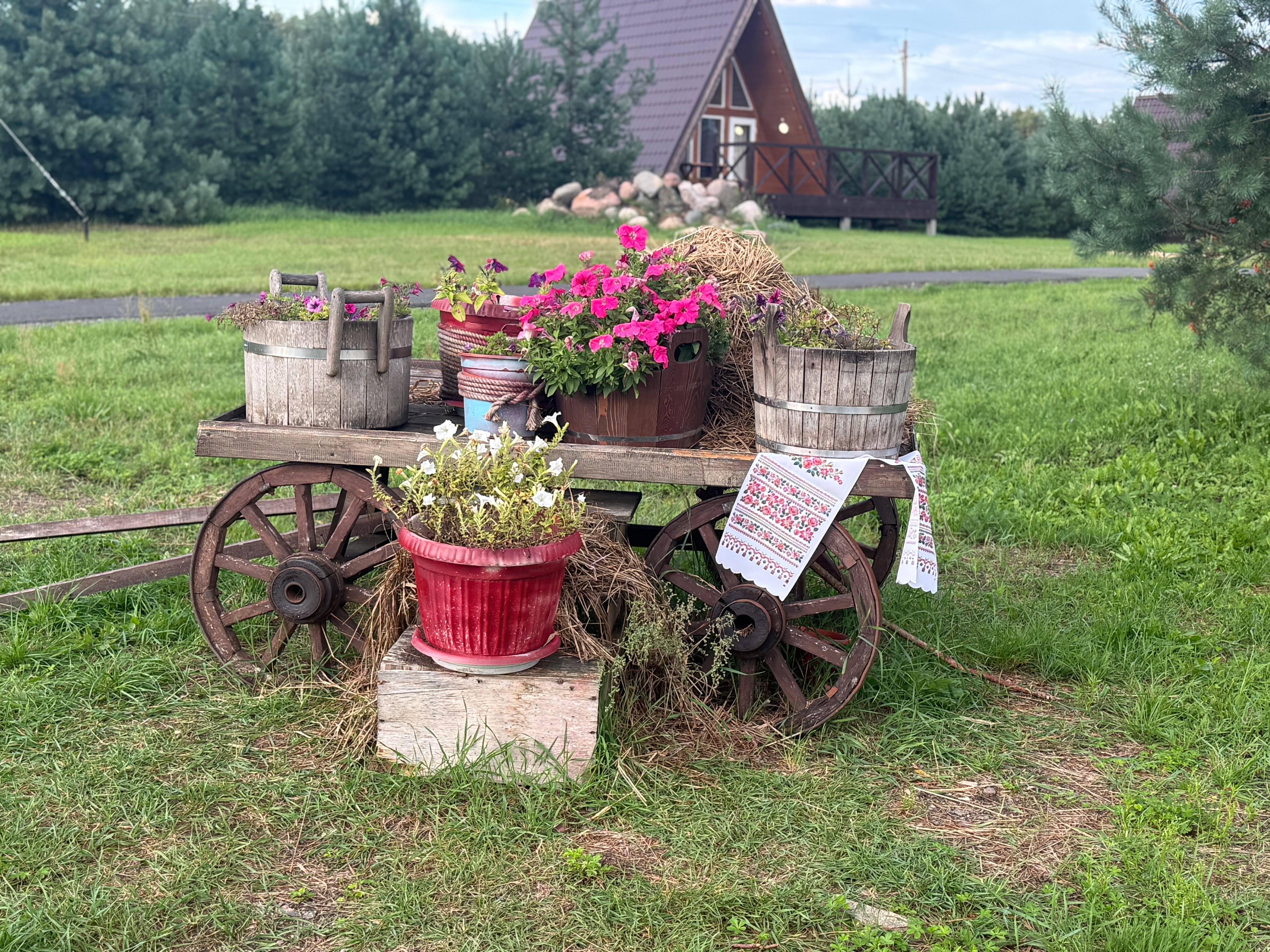 Фото Глэмпинг Тверской-Ямской