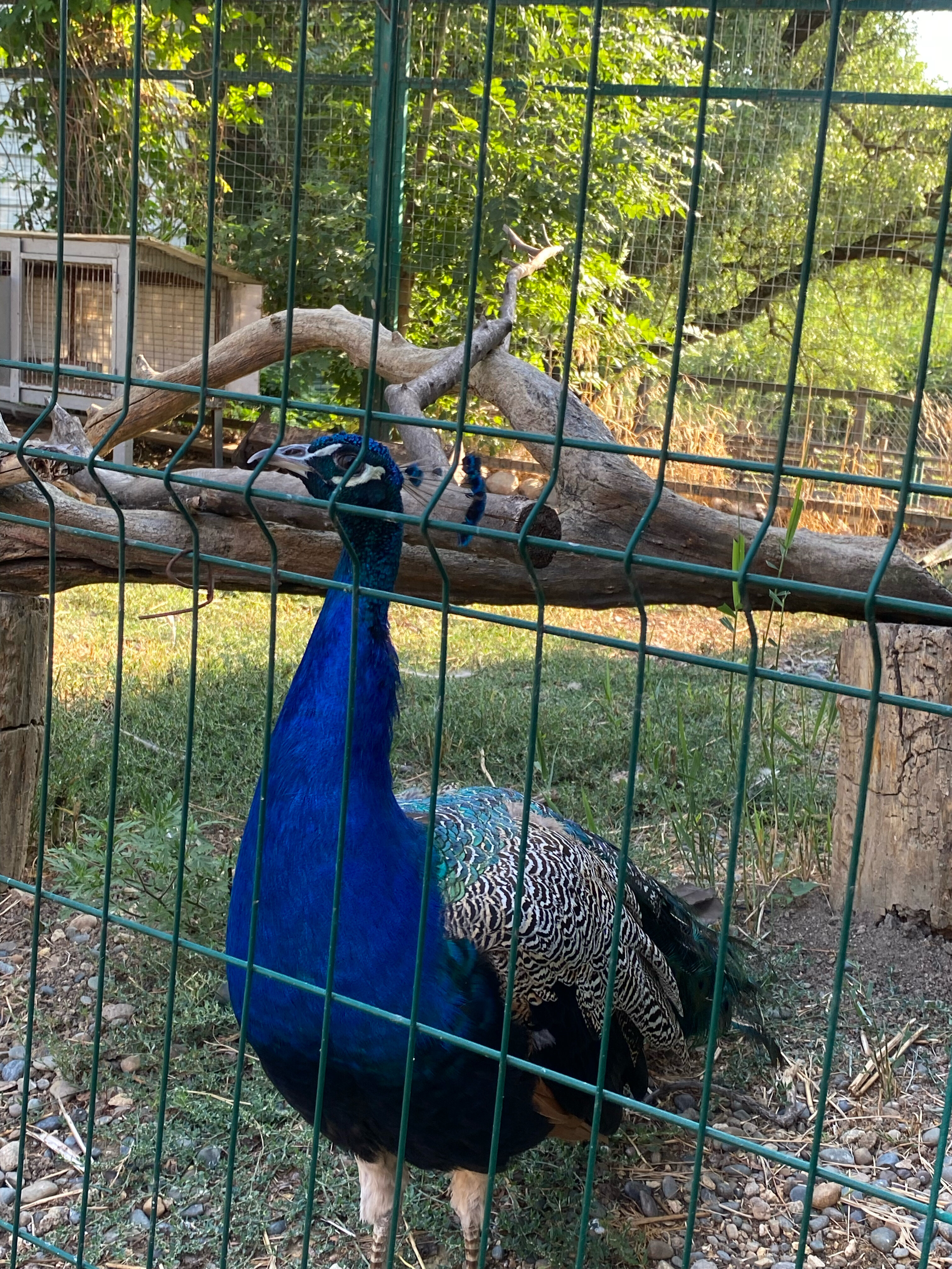 Фото Хуторок