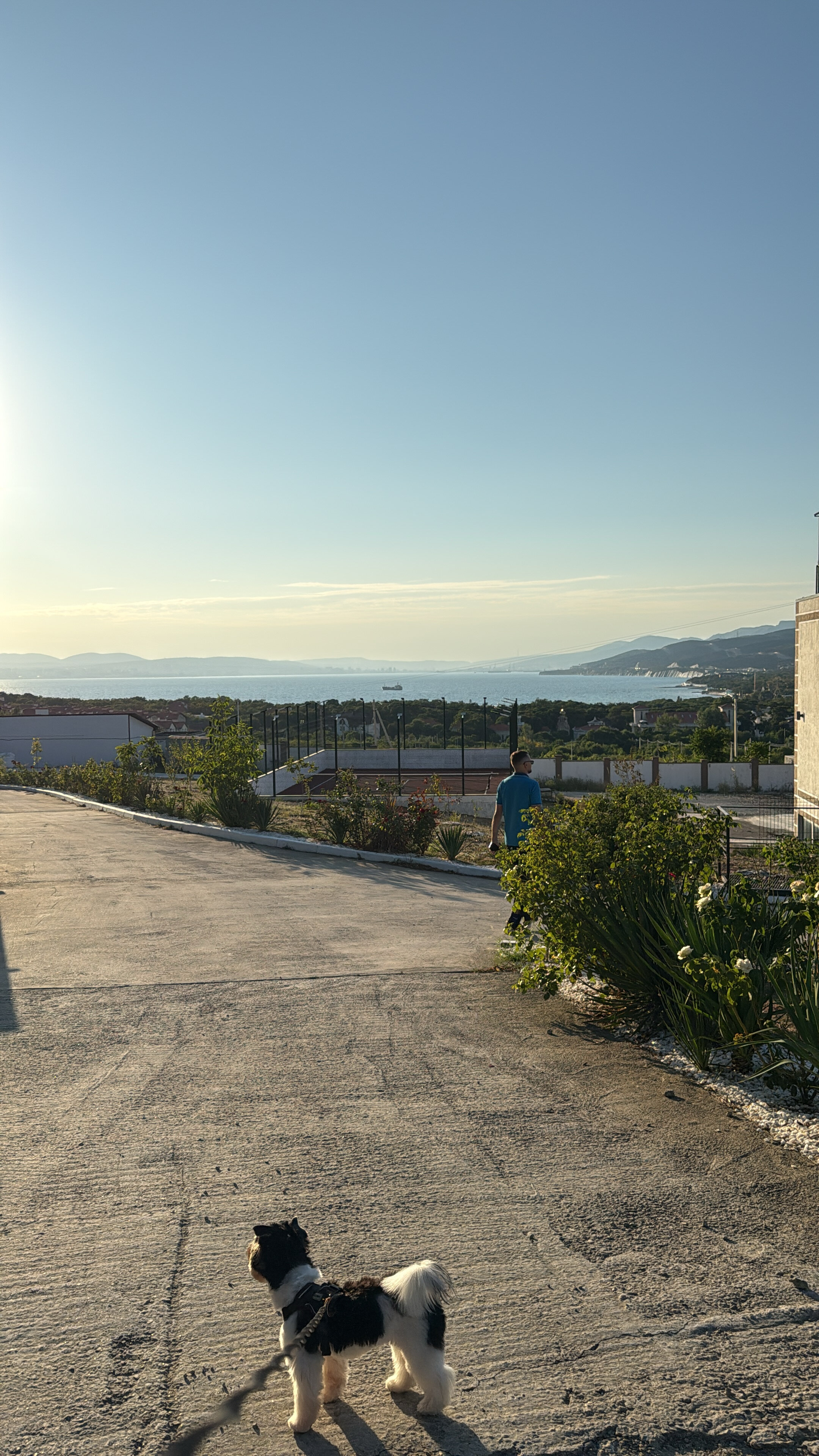 Фото Шато ди лиз