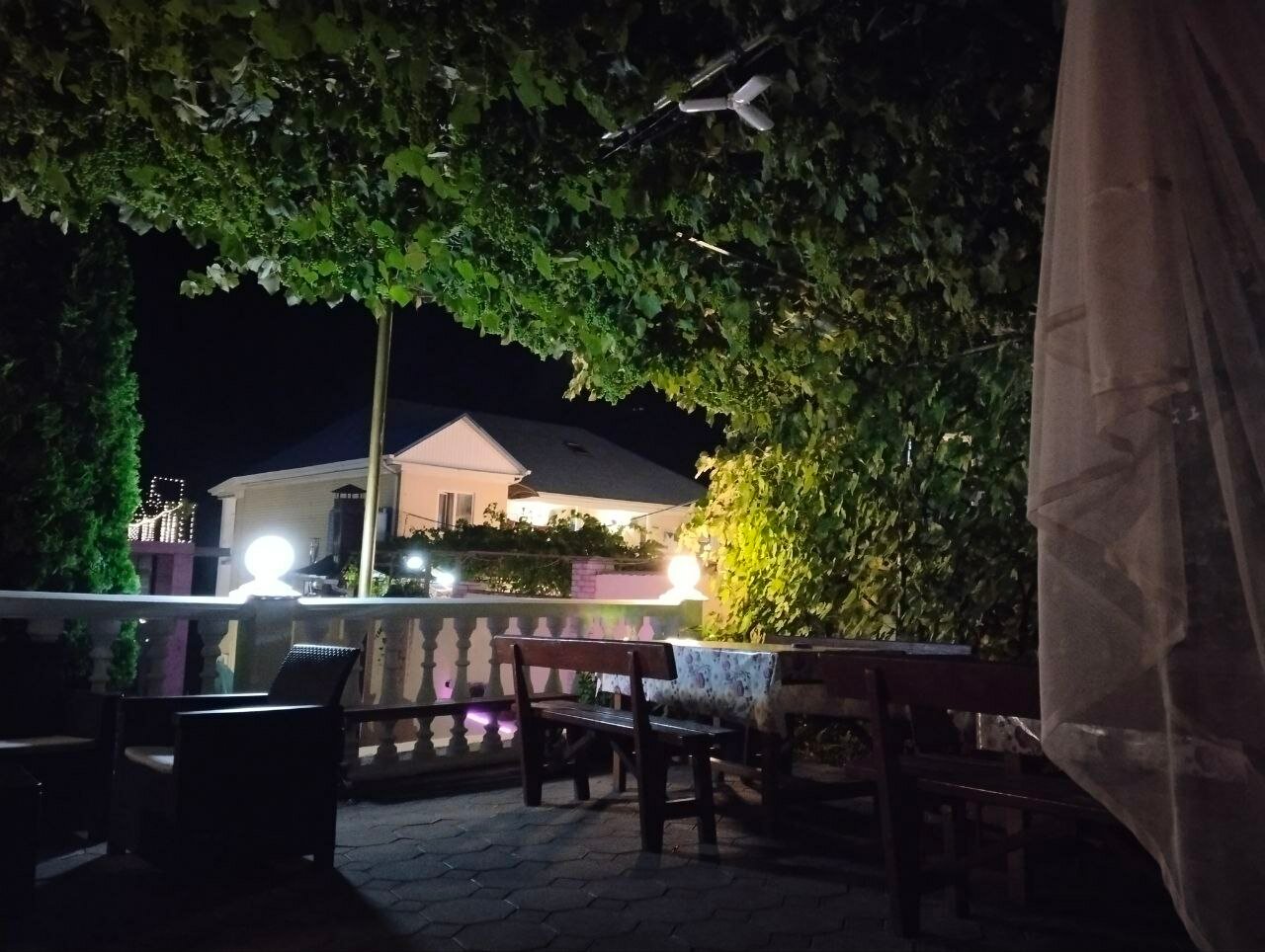 Фото Встреча