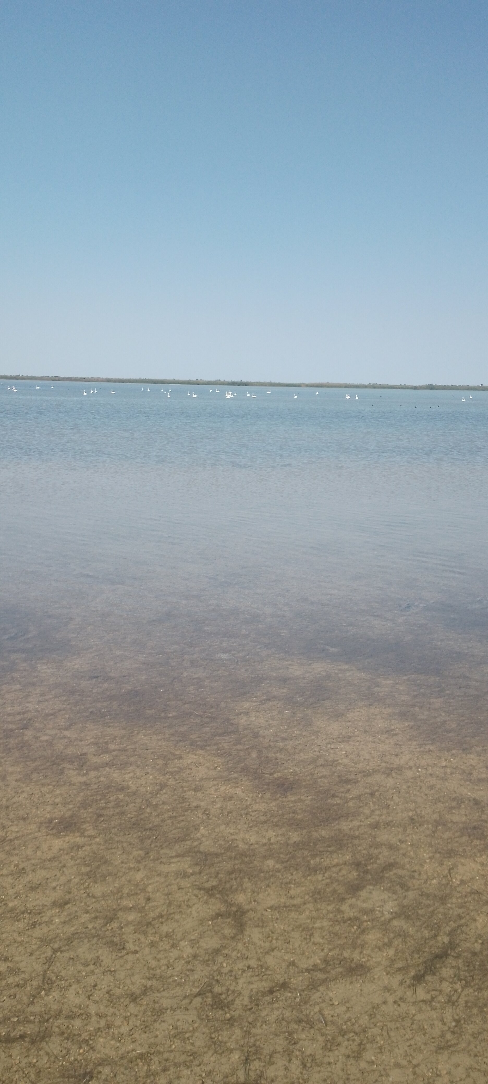 Фото Ханский берег