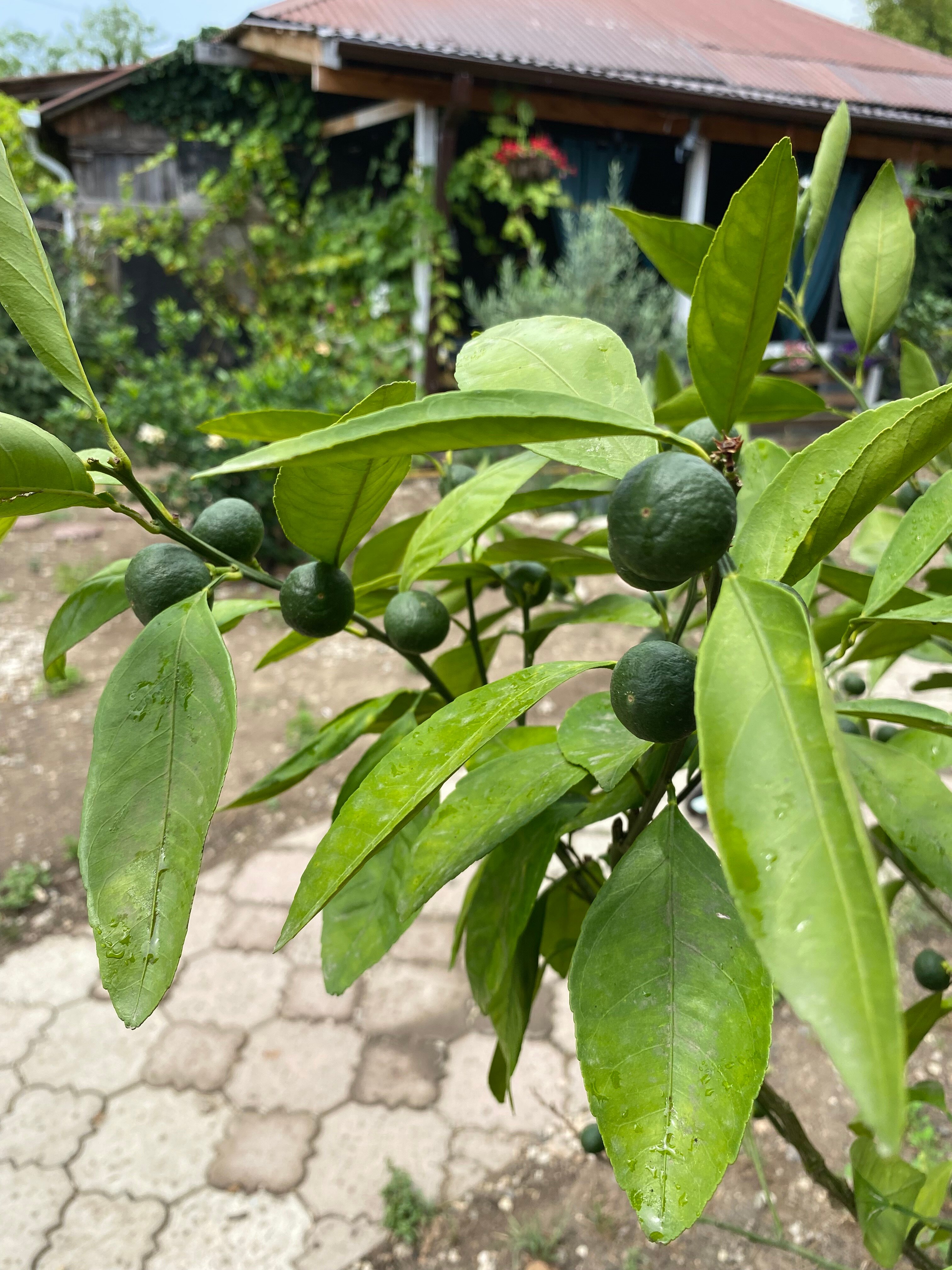 Фото 192517484496