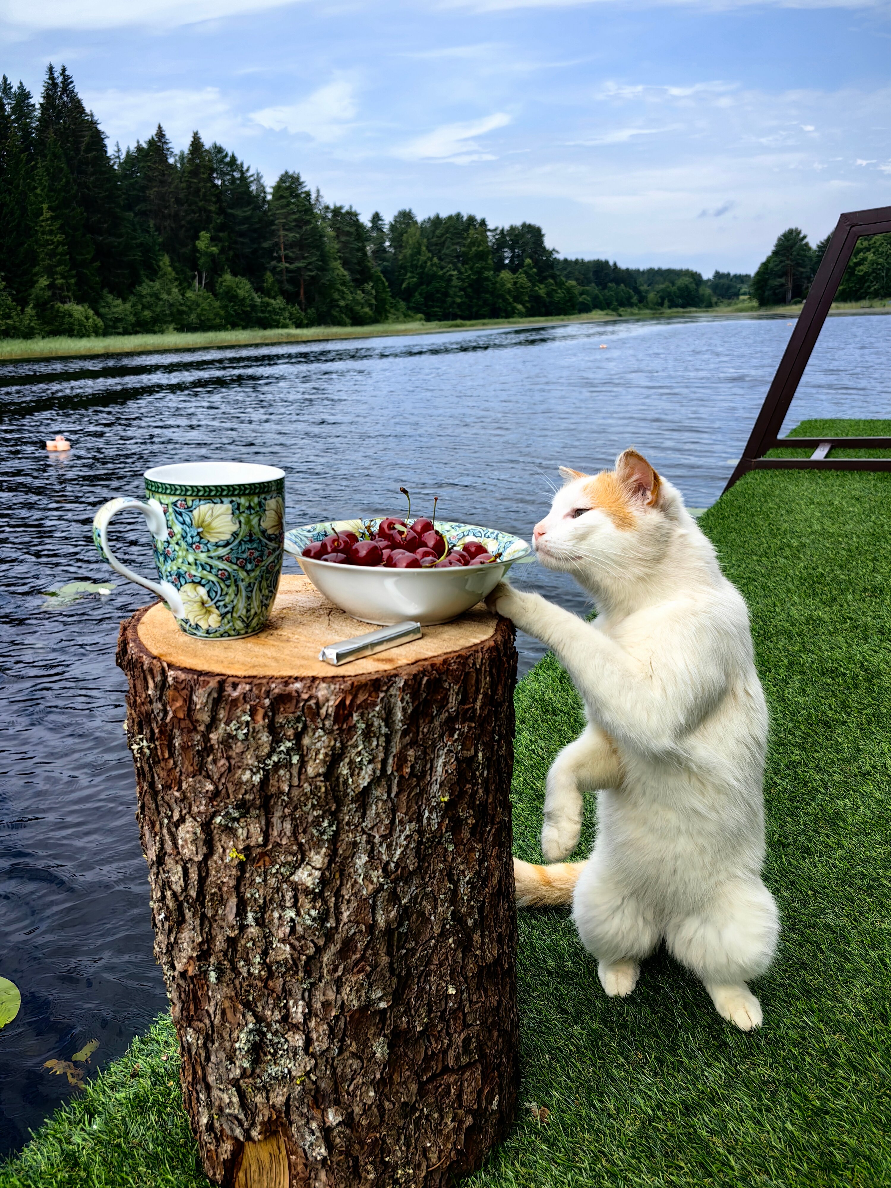 Фото Озерява