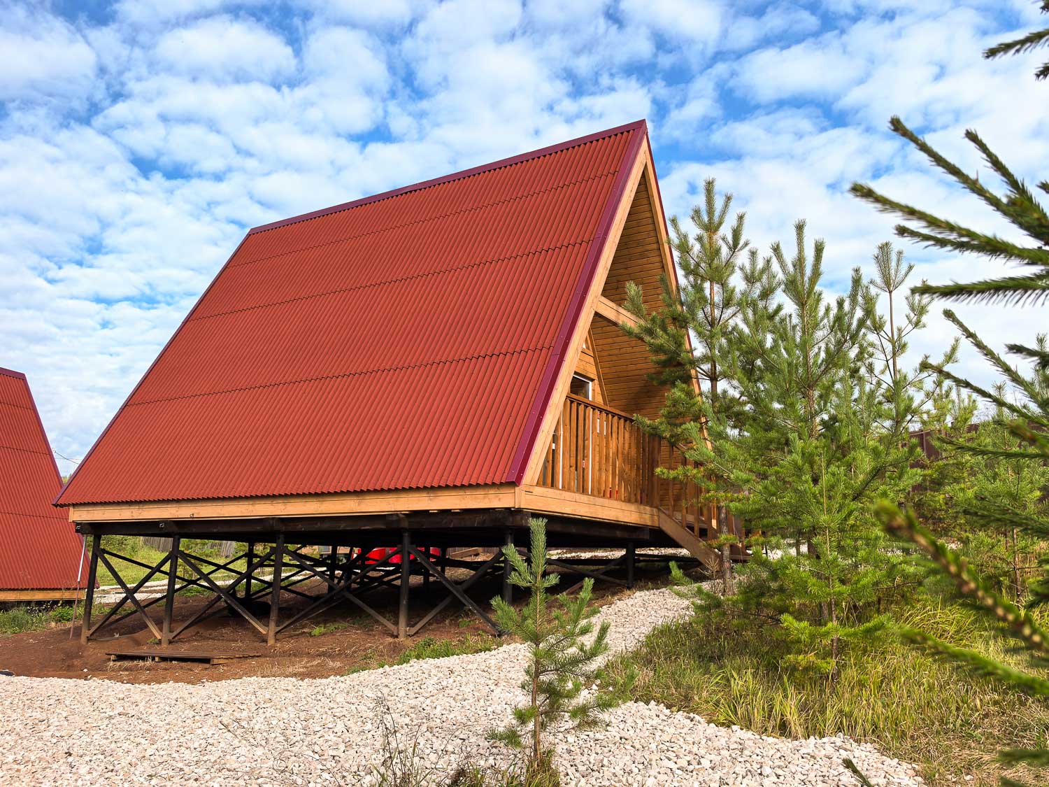 Фото Елки Иголки