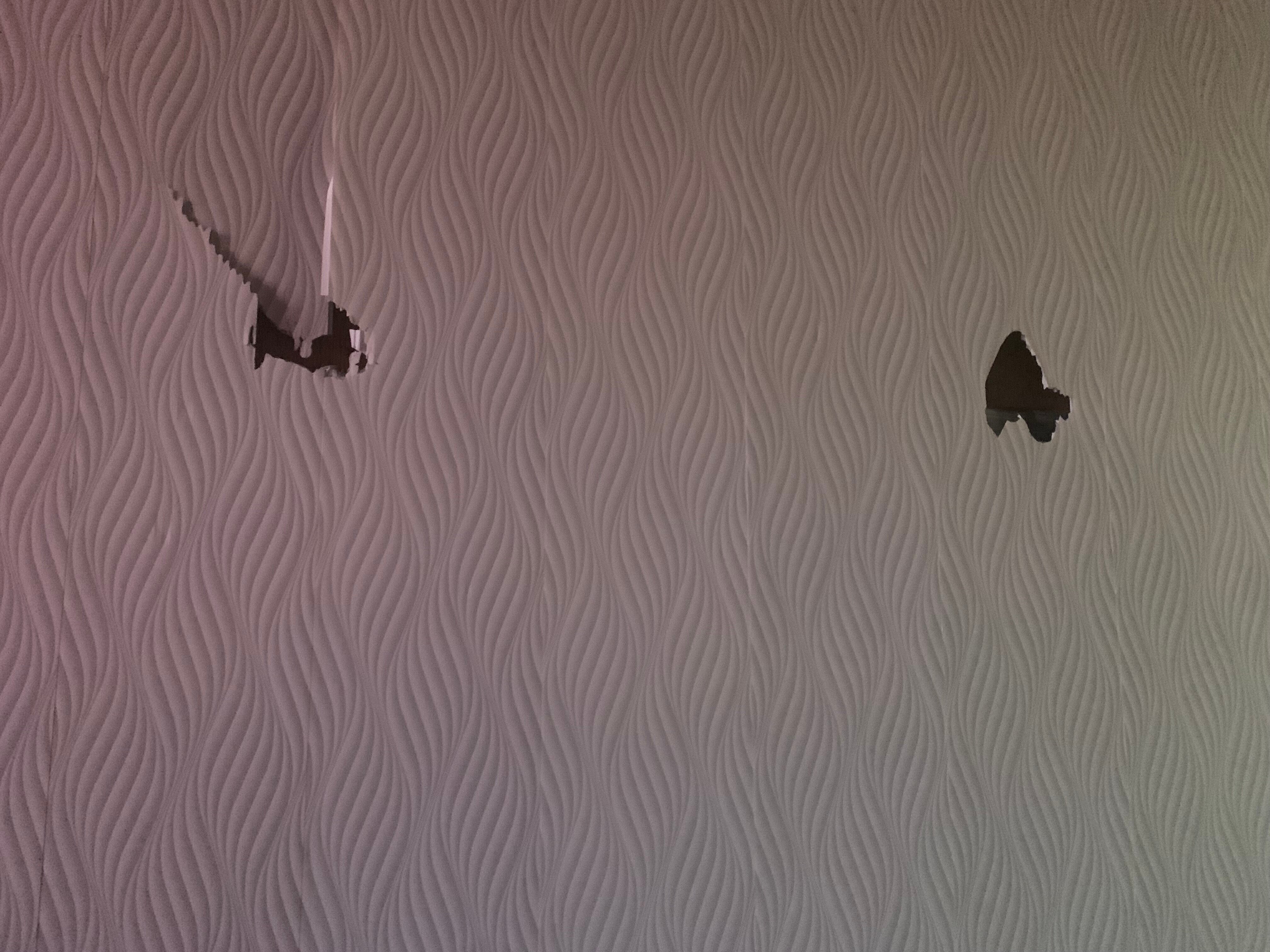 Фото Дельта