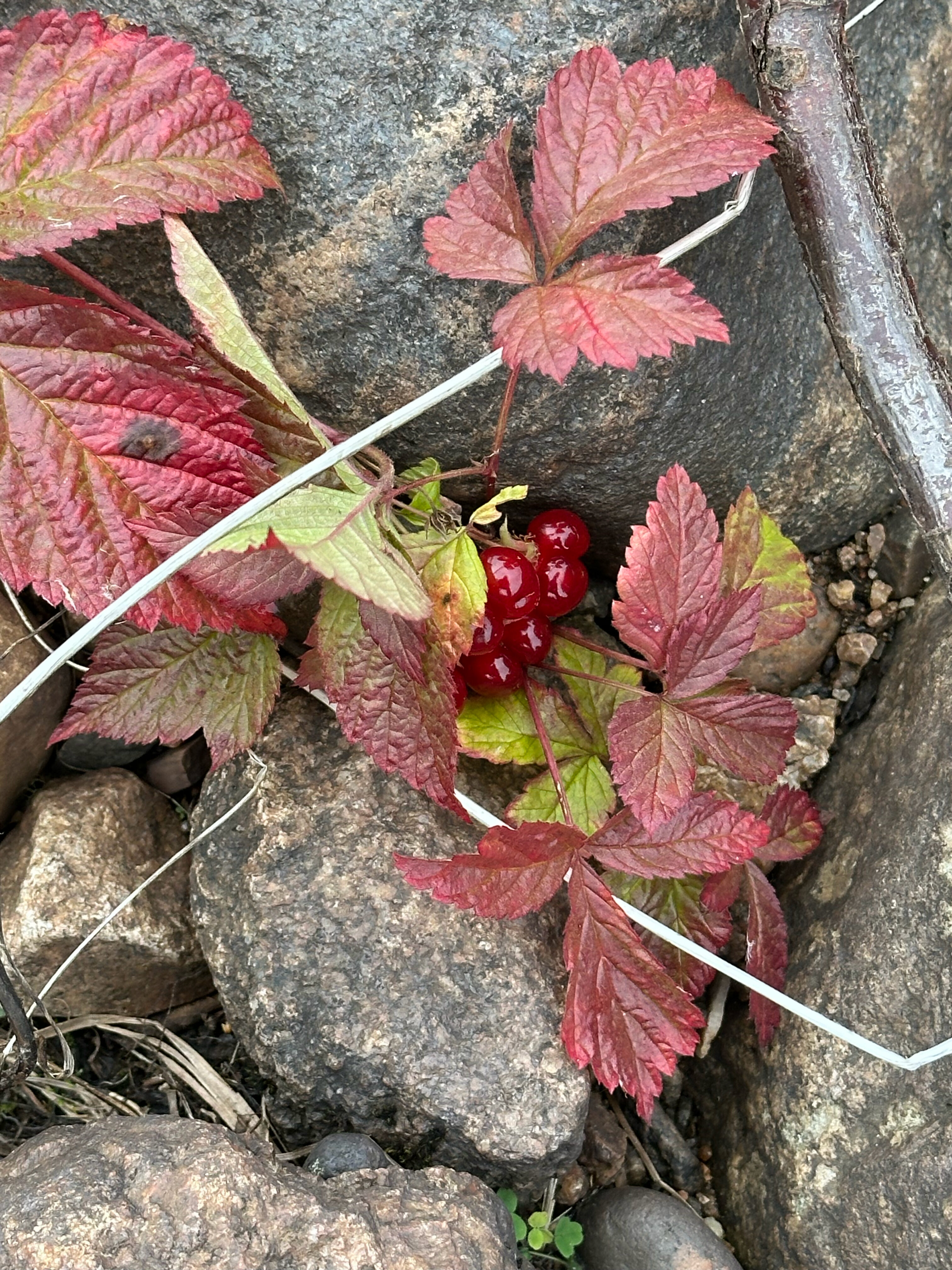 Фото В Варзуге
