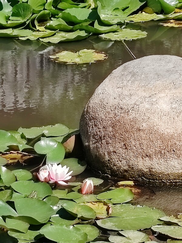 Анна Волкова