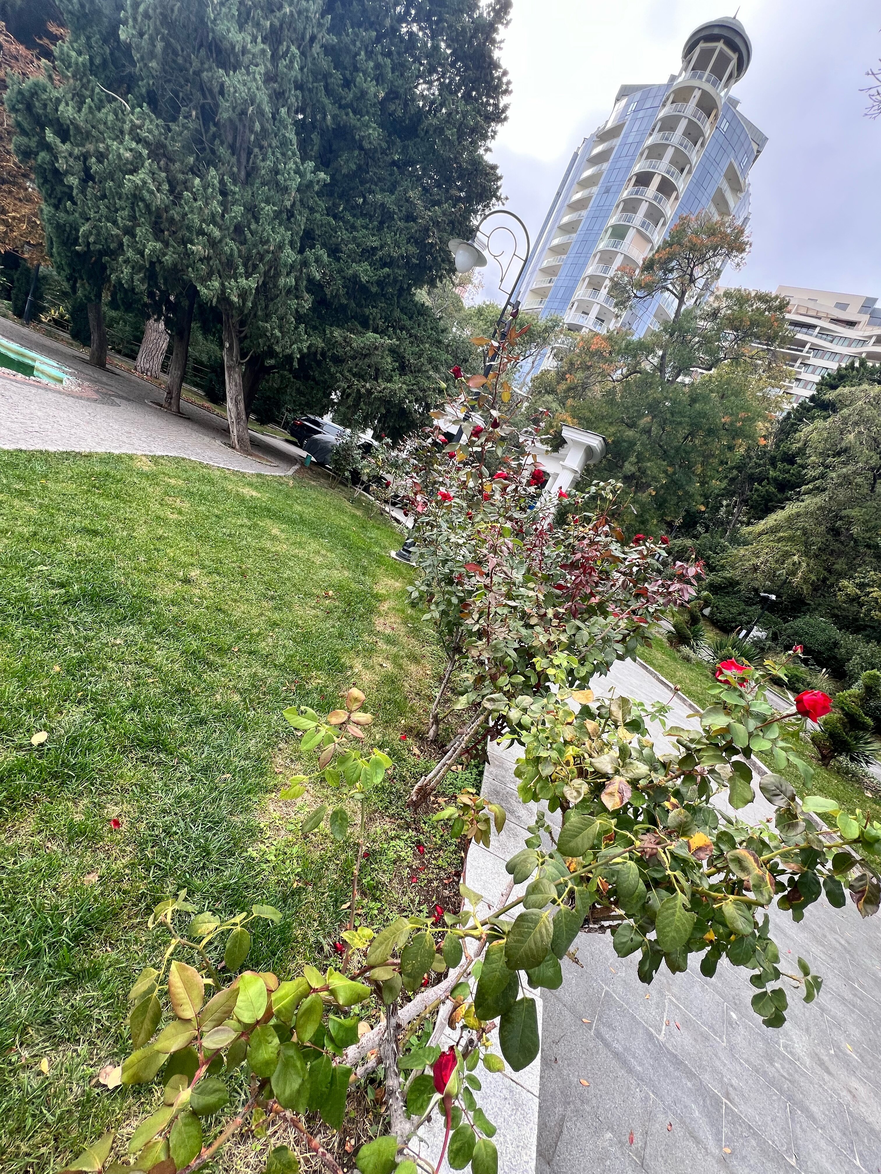 Фото Приморский парк- Rooms-park