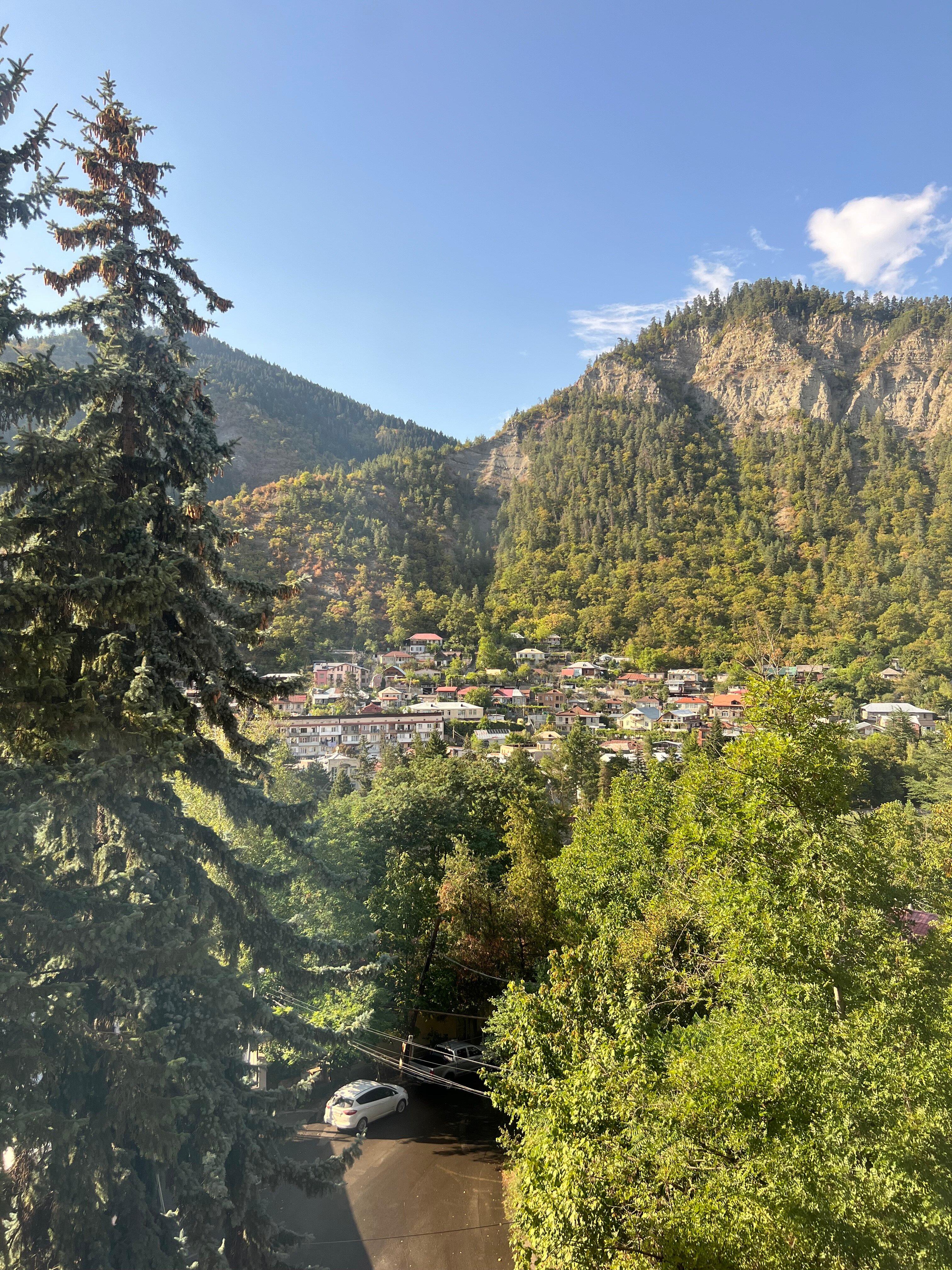 Фото Borjomi Palace
