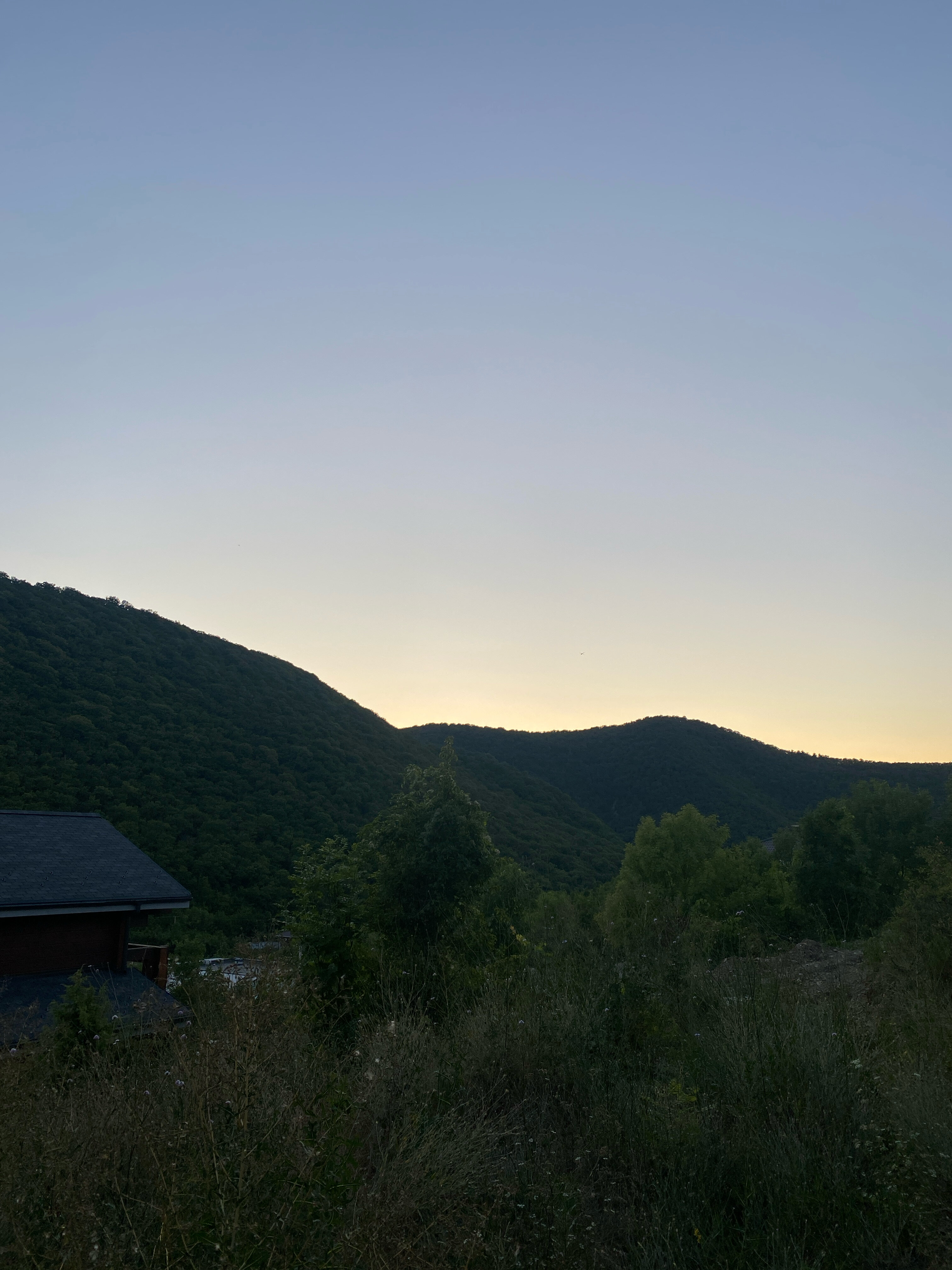 Фото Abrau Family