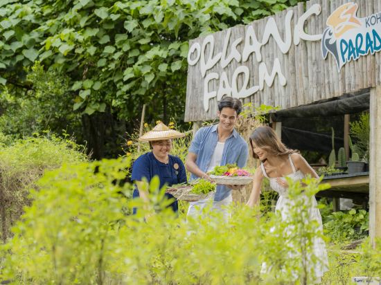 Фото TreeHouse Villas