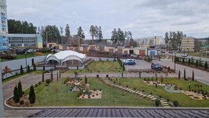 Ариадна