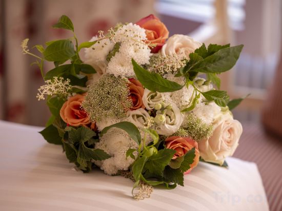 Фото Hôtel Le Saint-Grégoire