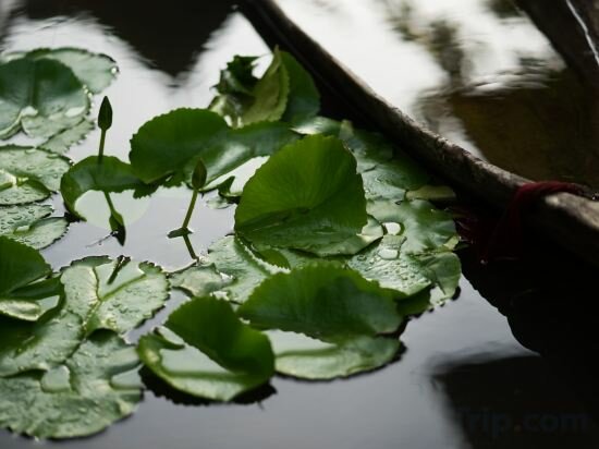 Фото Shinnabhura Historic Boutique hotel