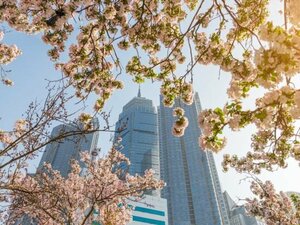 Гостиница Hilton Yantai